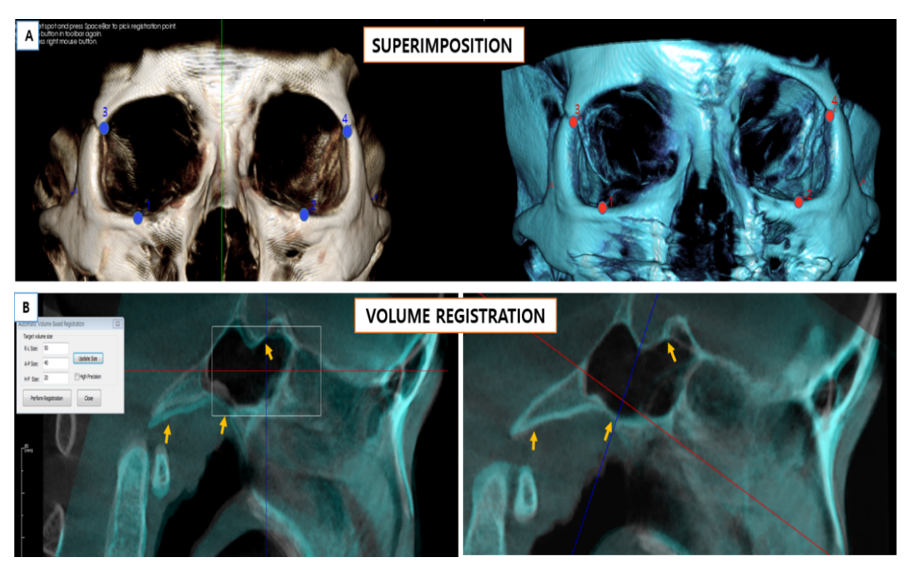 Processes 09 00152 g003
