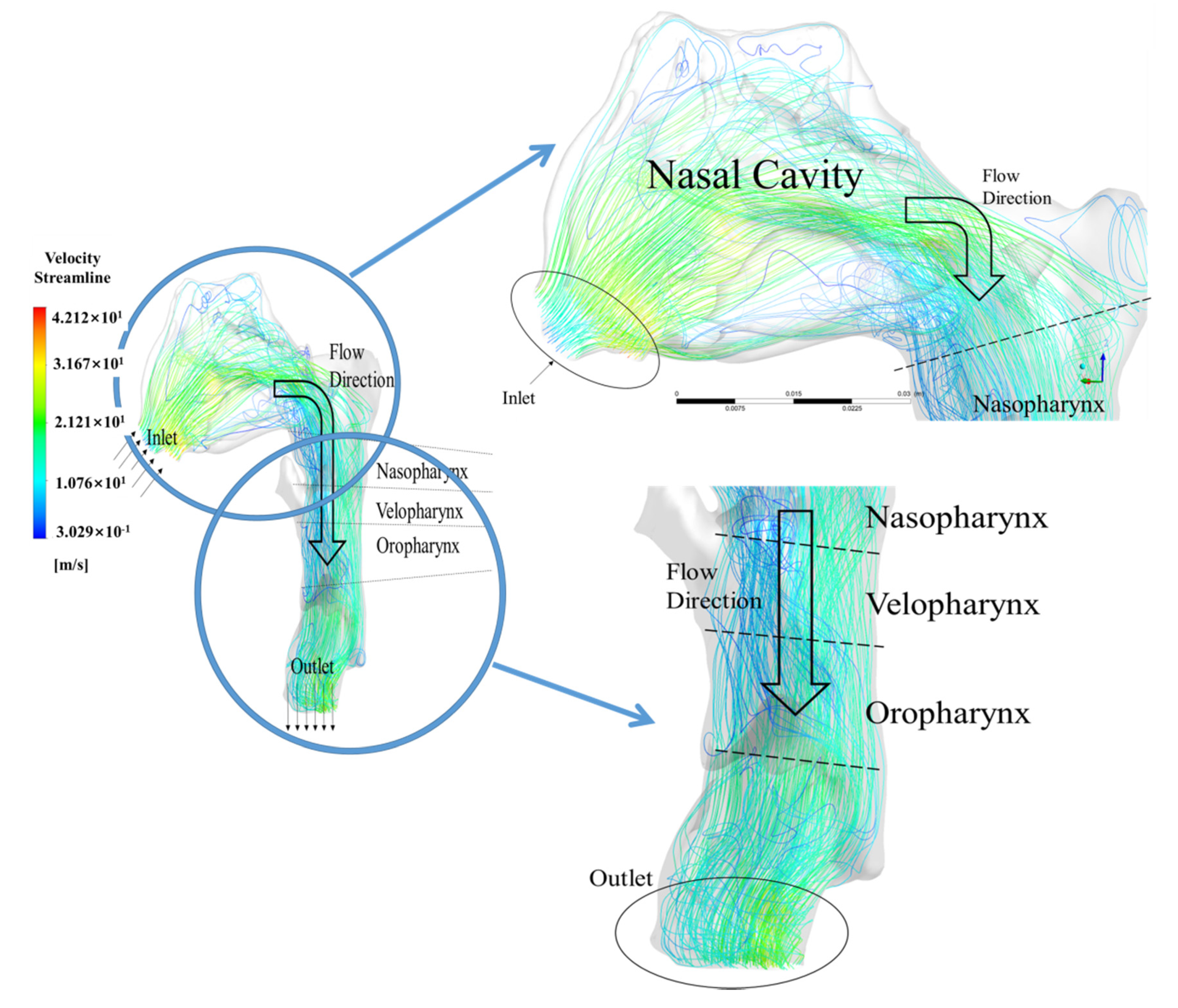 Processes 09 00152 g007