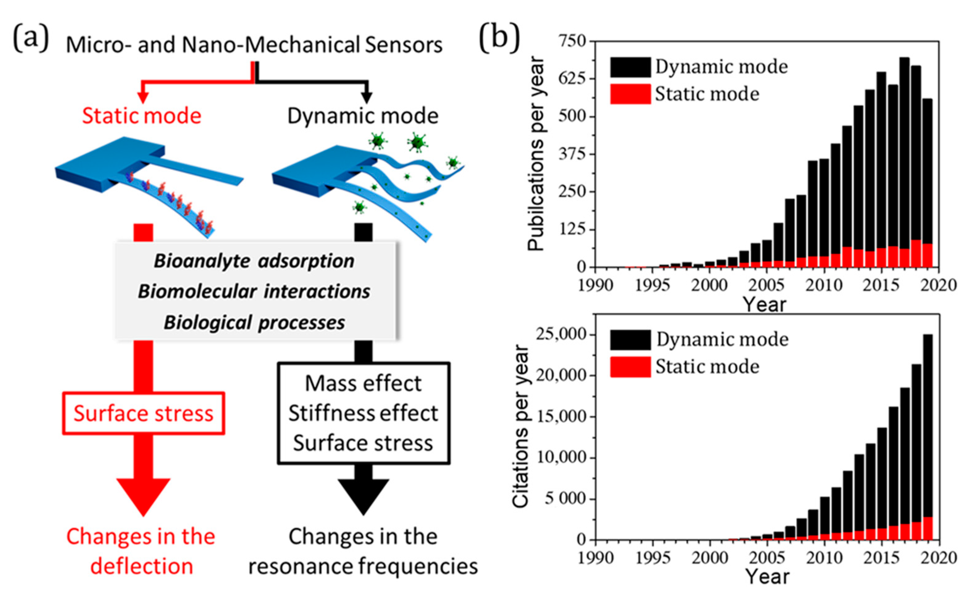 Processes 09 00164 g001