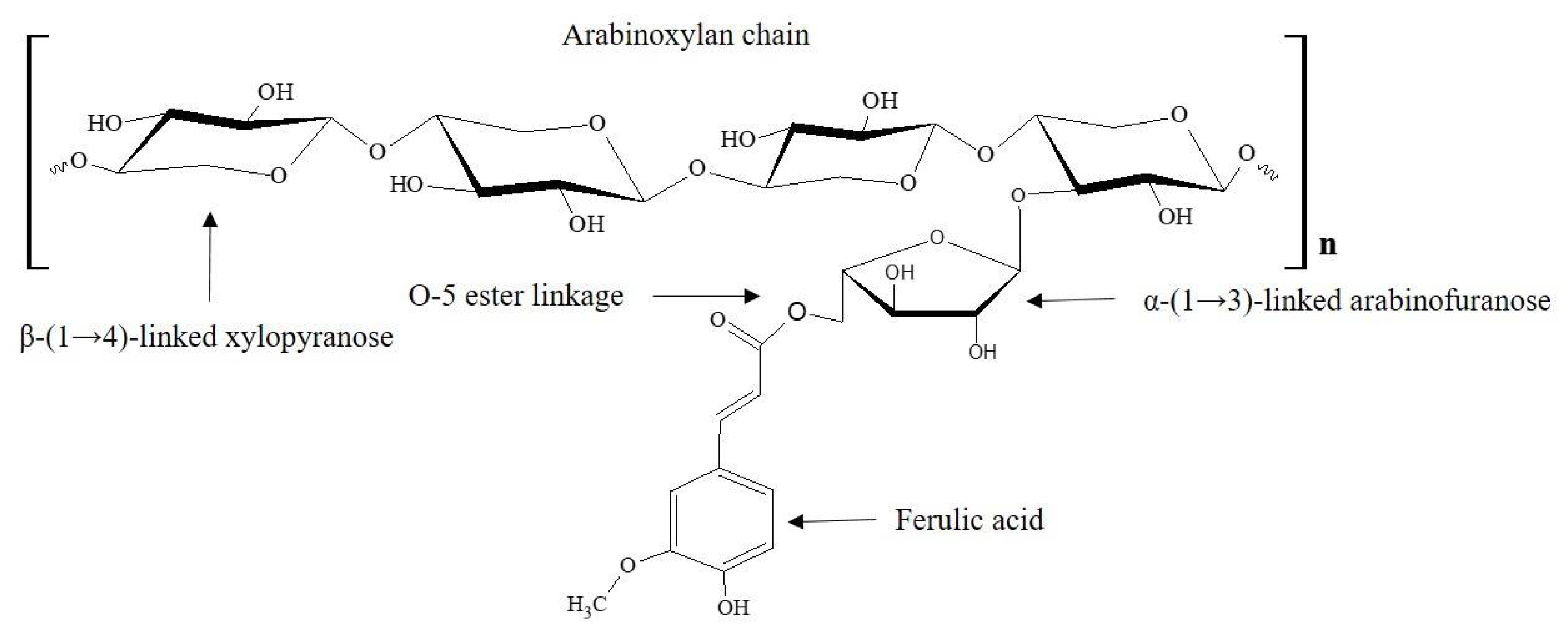 Processes 09 00165 g001