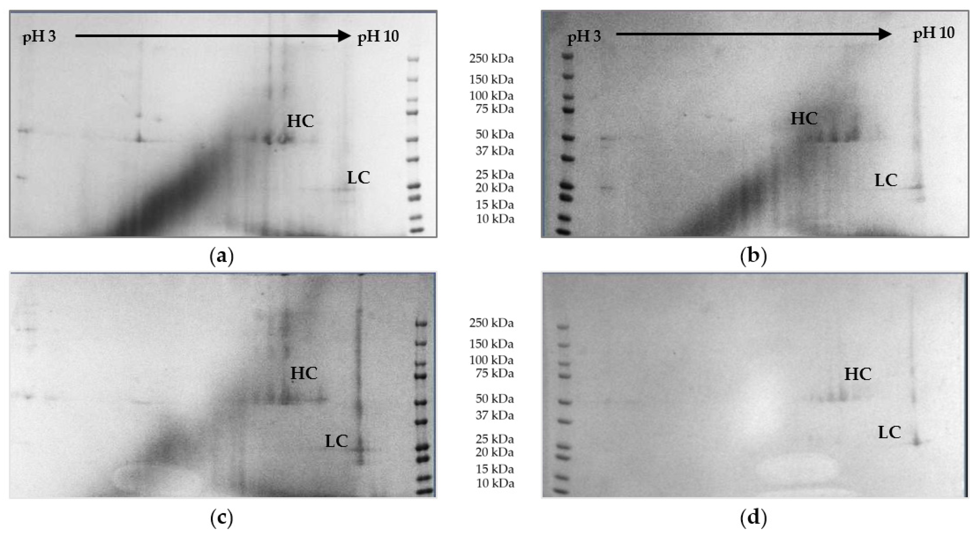 Processes 09 00172 g012