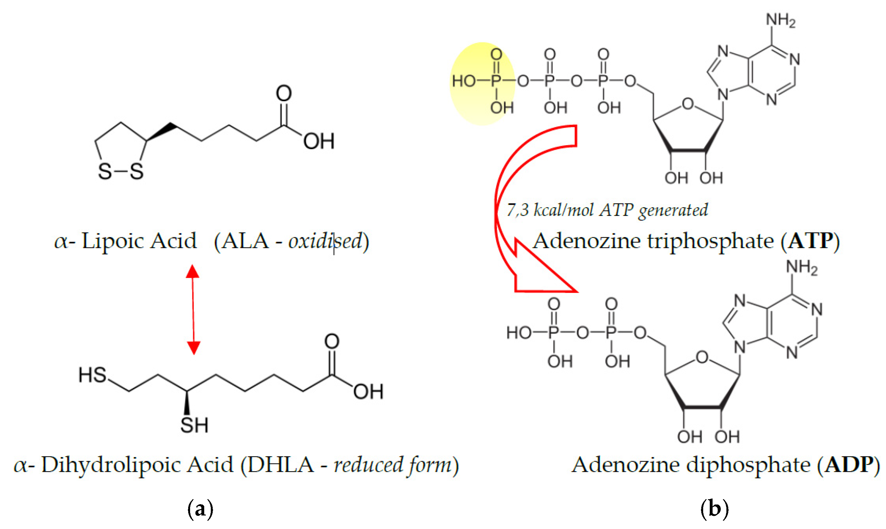 Ала кислота. Ala (Thioctic acid). Thioctic acid Synthesis. Cinderella Thioctic acid. R-Lipoic acid CGN.