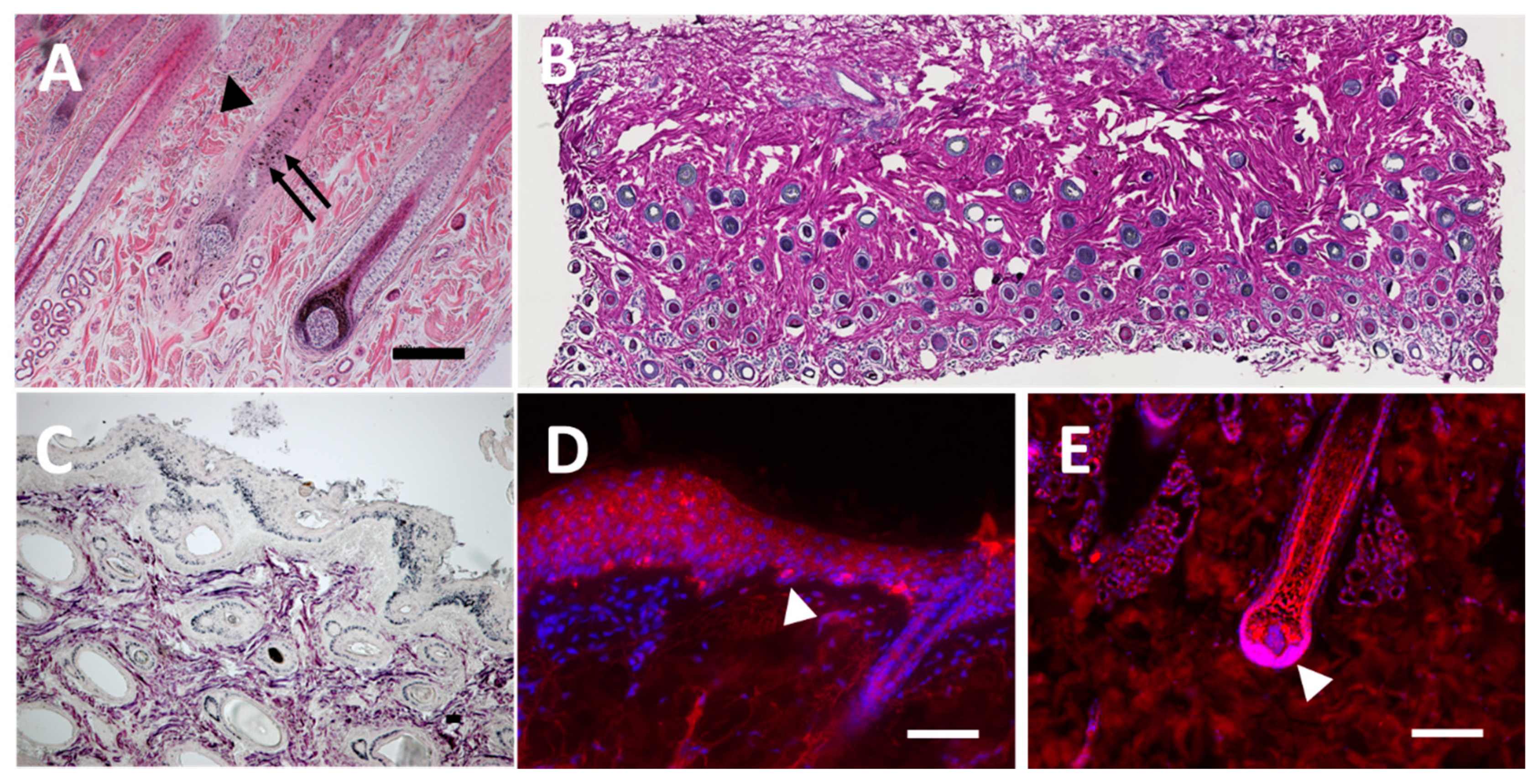 Processes 09 00177 g001 Processes 09 00177 g001