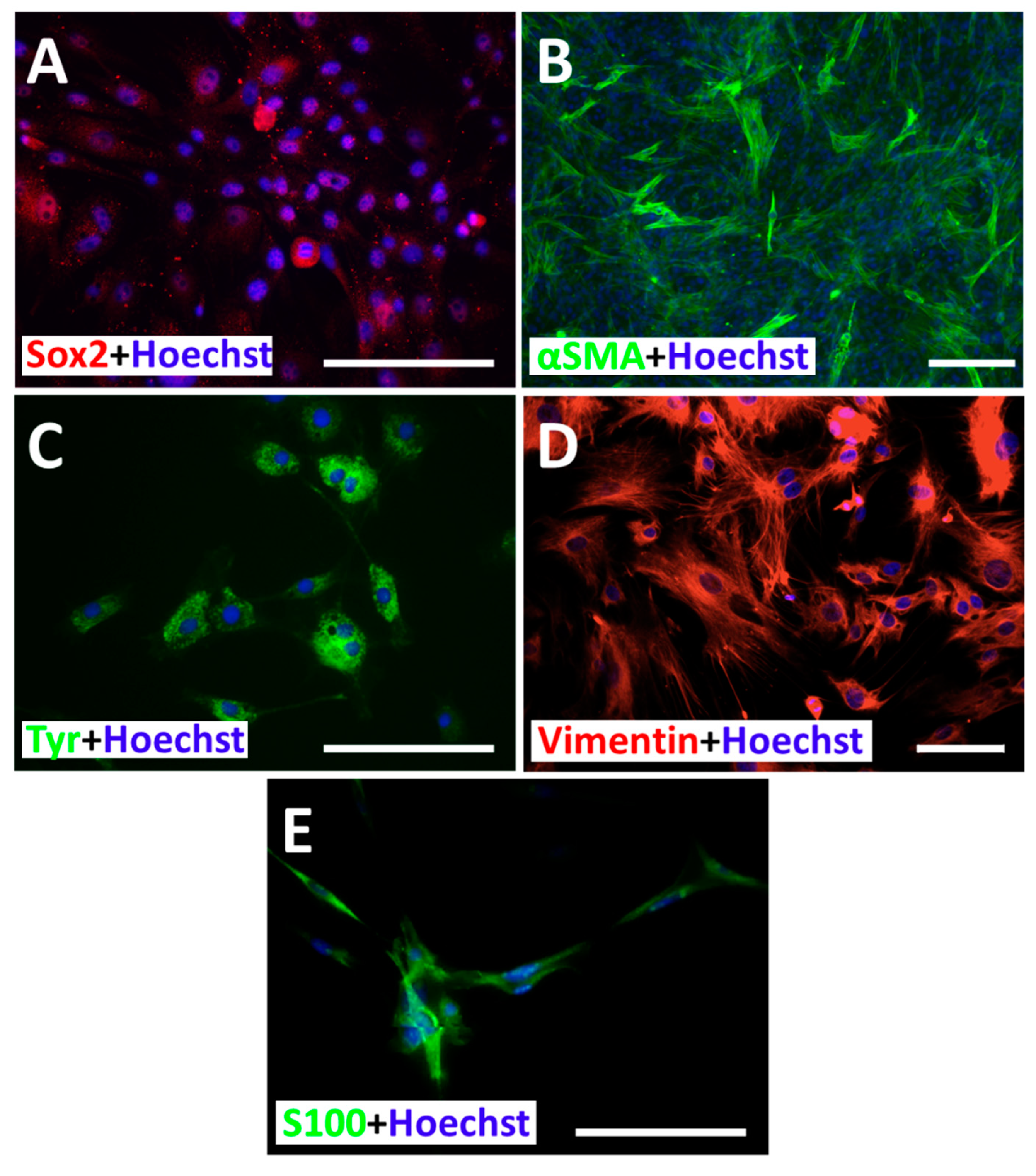 Processes 09 00177 g003 Processes 09 00177 g003