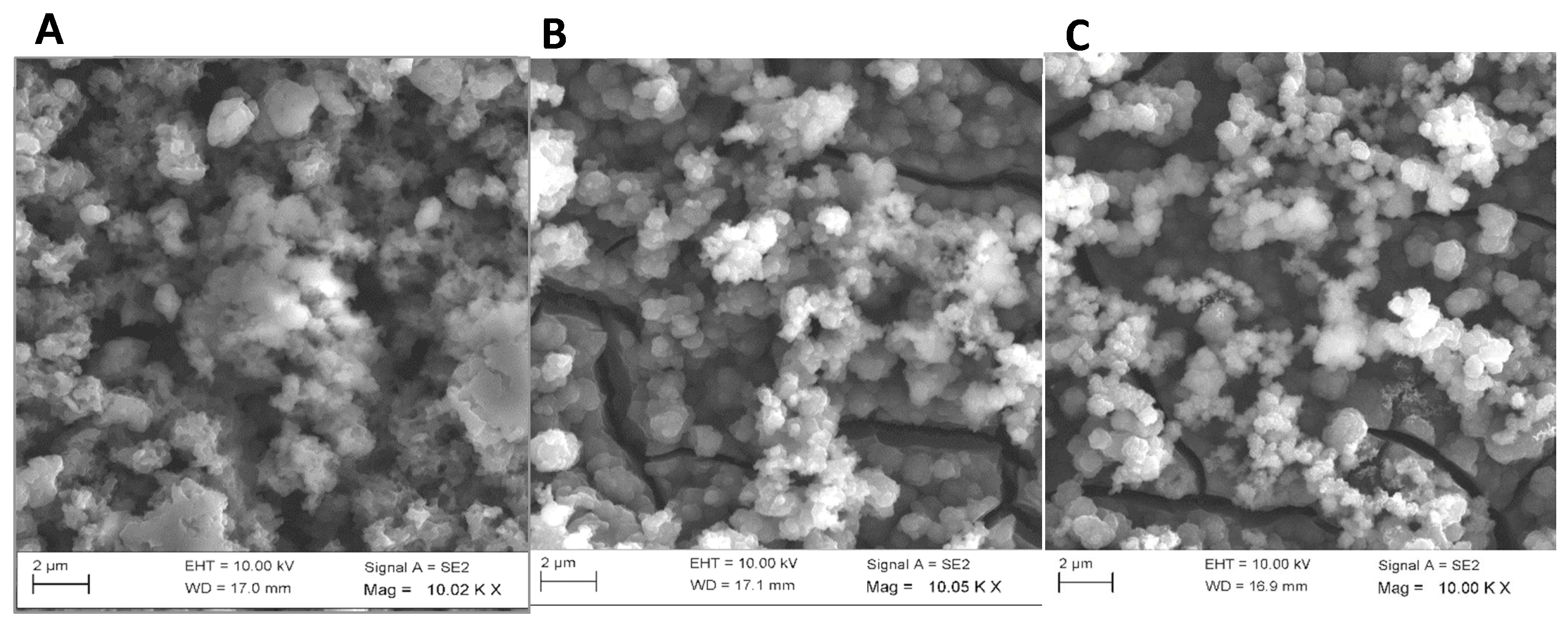 Processes 09 00179 g005 Processes 09 00179 g005