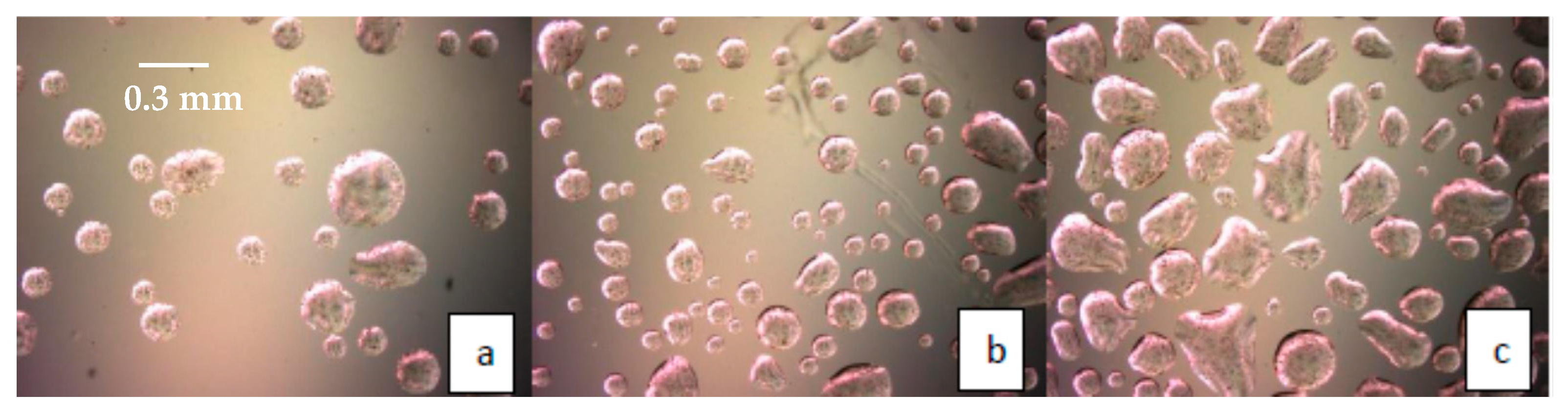 Processes 09 00181 g003 Processes 09 00181 g003