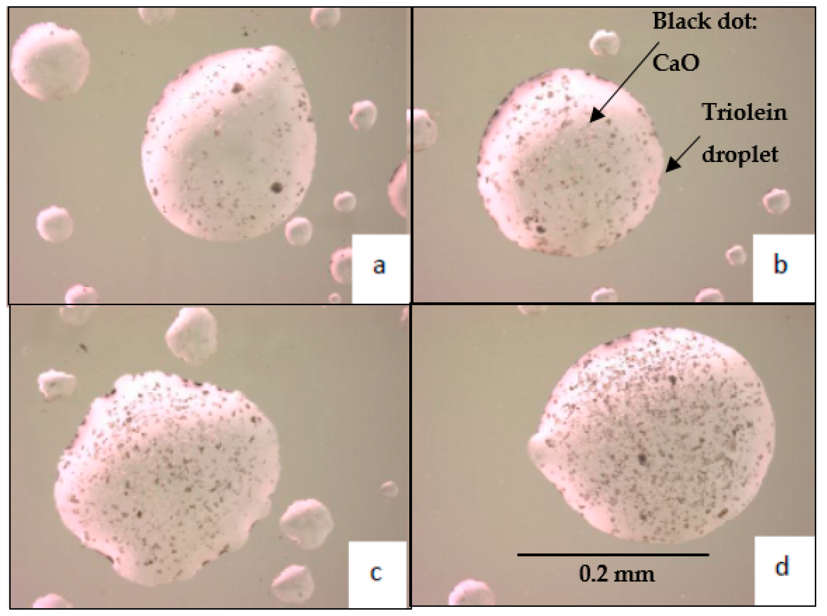 Processes 09 00181 g004 Processes 09 00181 g004