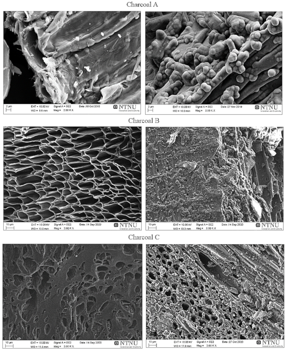 Processes 09 00193 g003