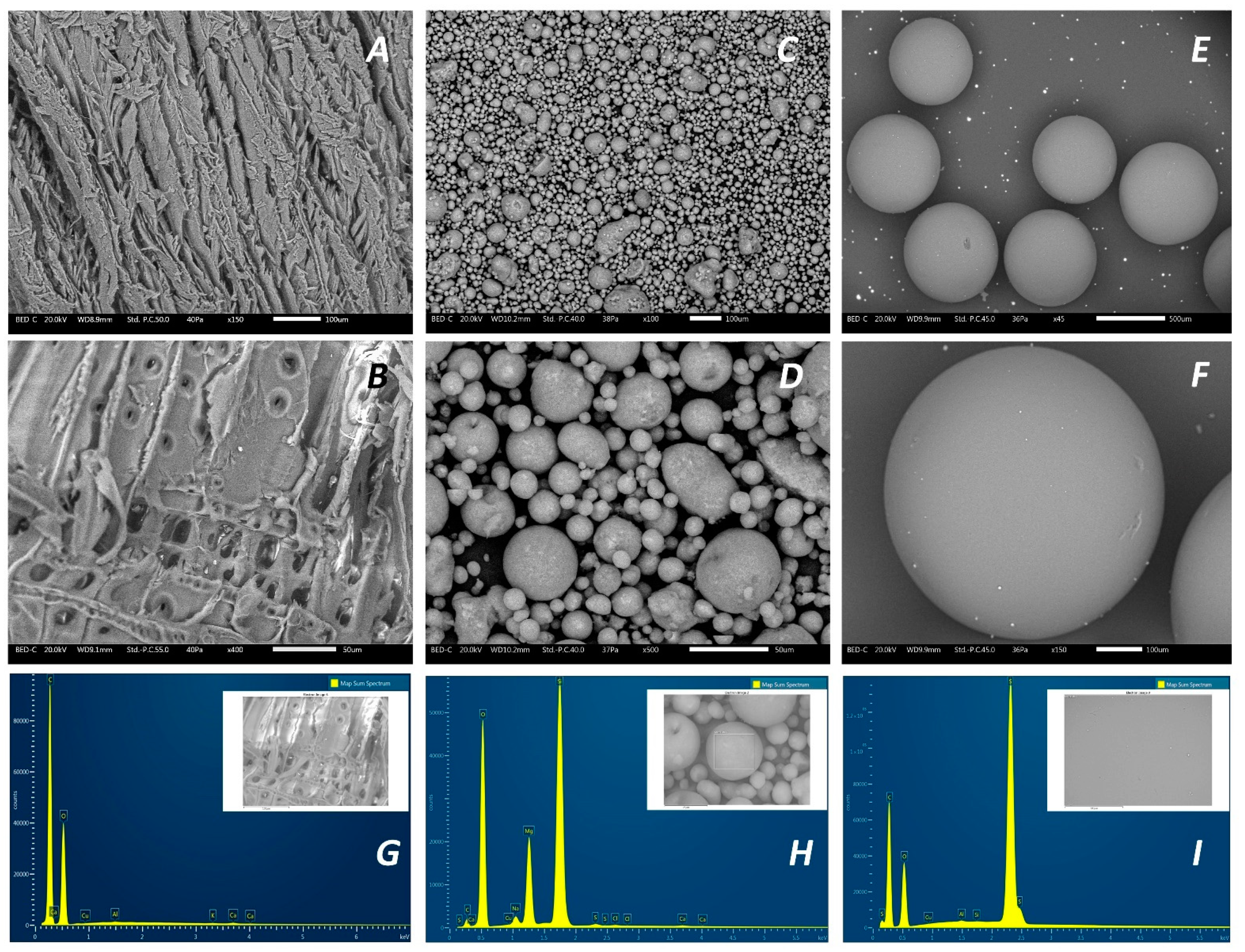 Processes 09 00194 g003