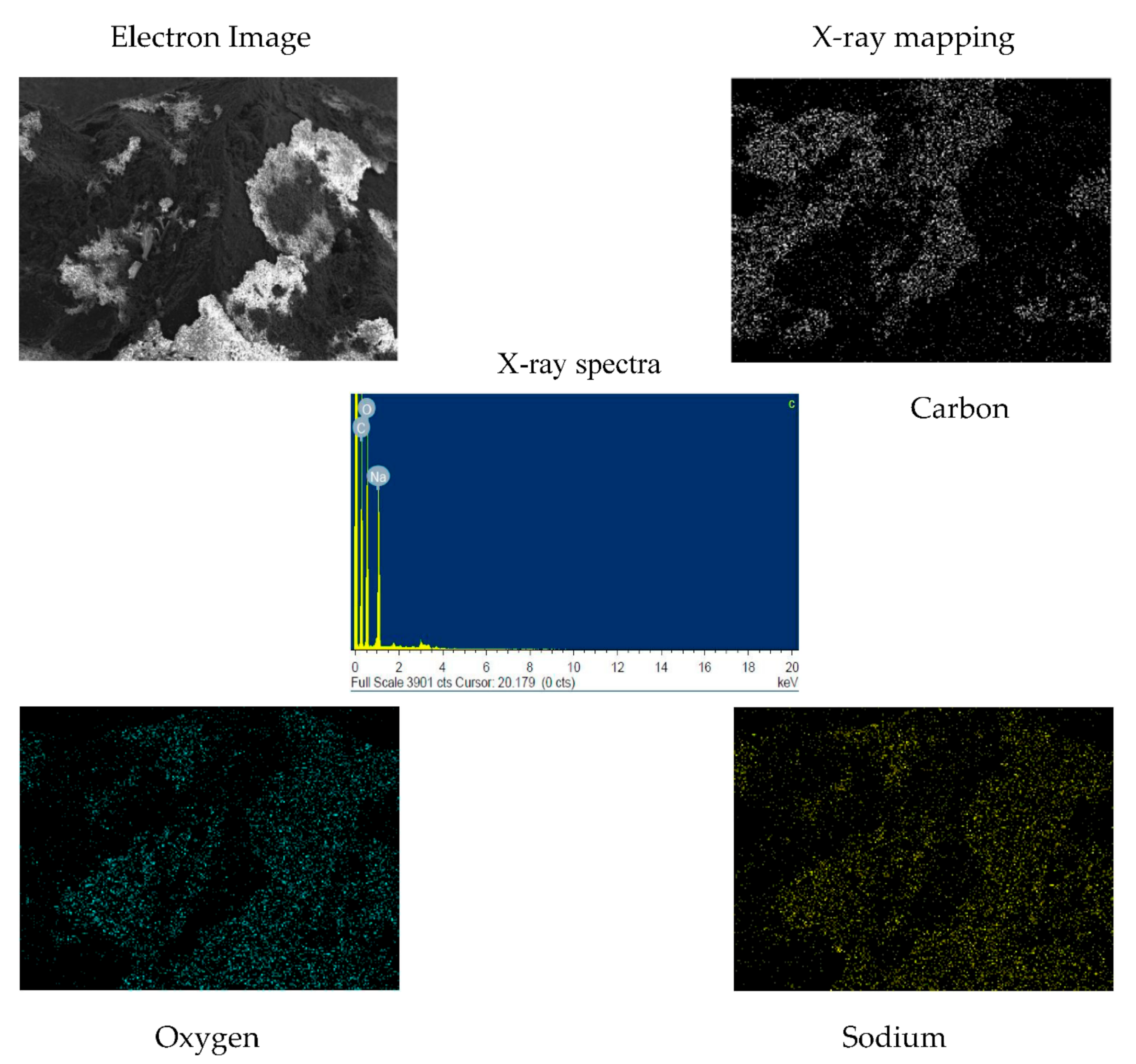 Processes 09 00201 g003 Processes 09 00201 g003