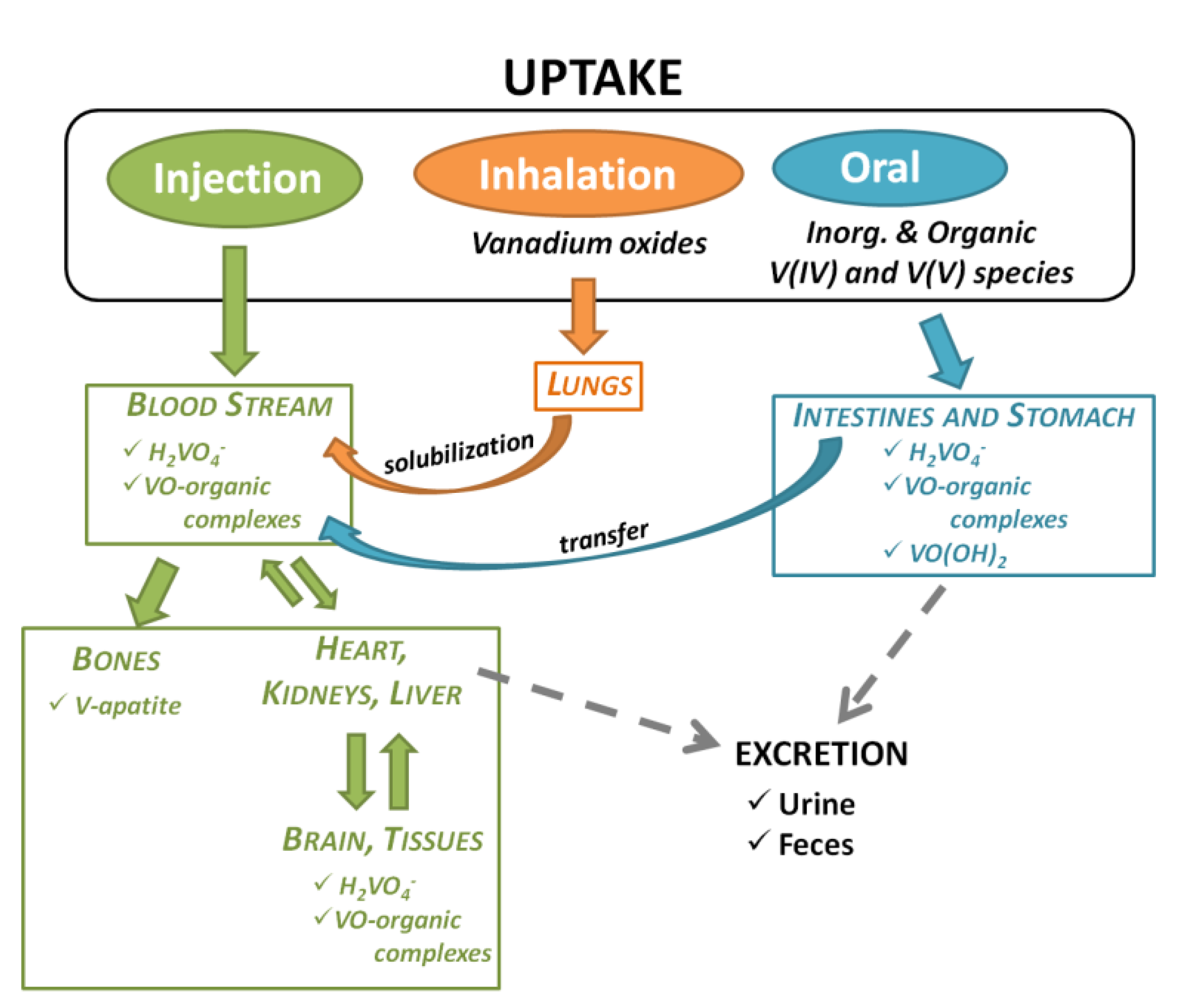 Processes 09 00214 g001 Processes 09 00214 g001