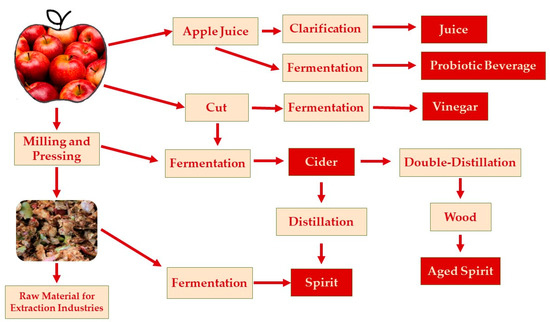 Processes 09 00223 g002 550