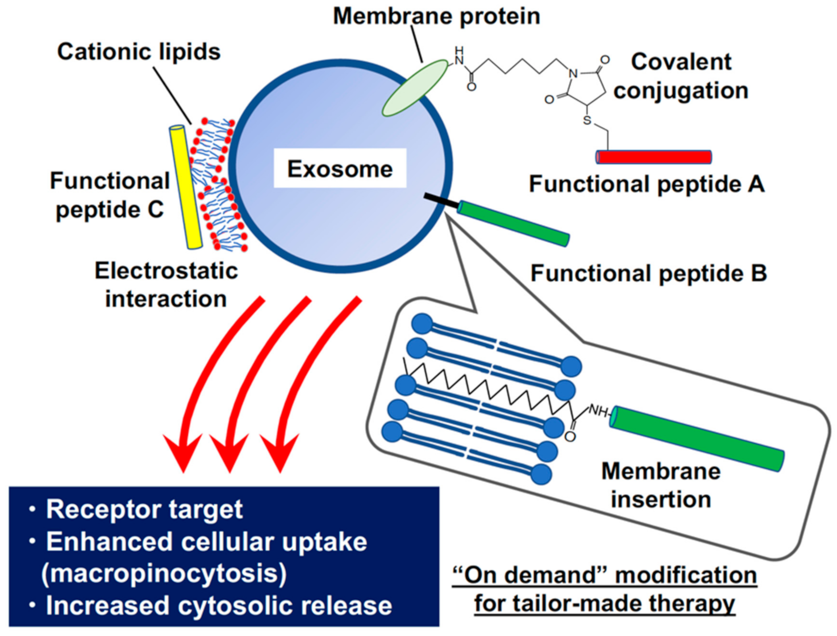 Processes 09 00224 g001