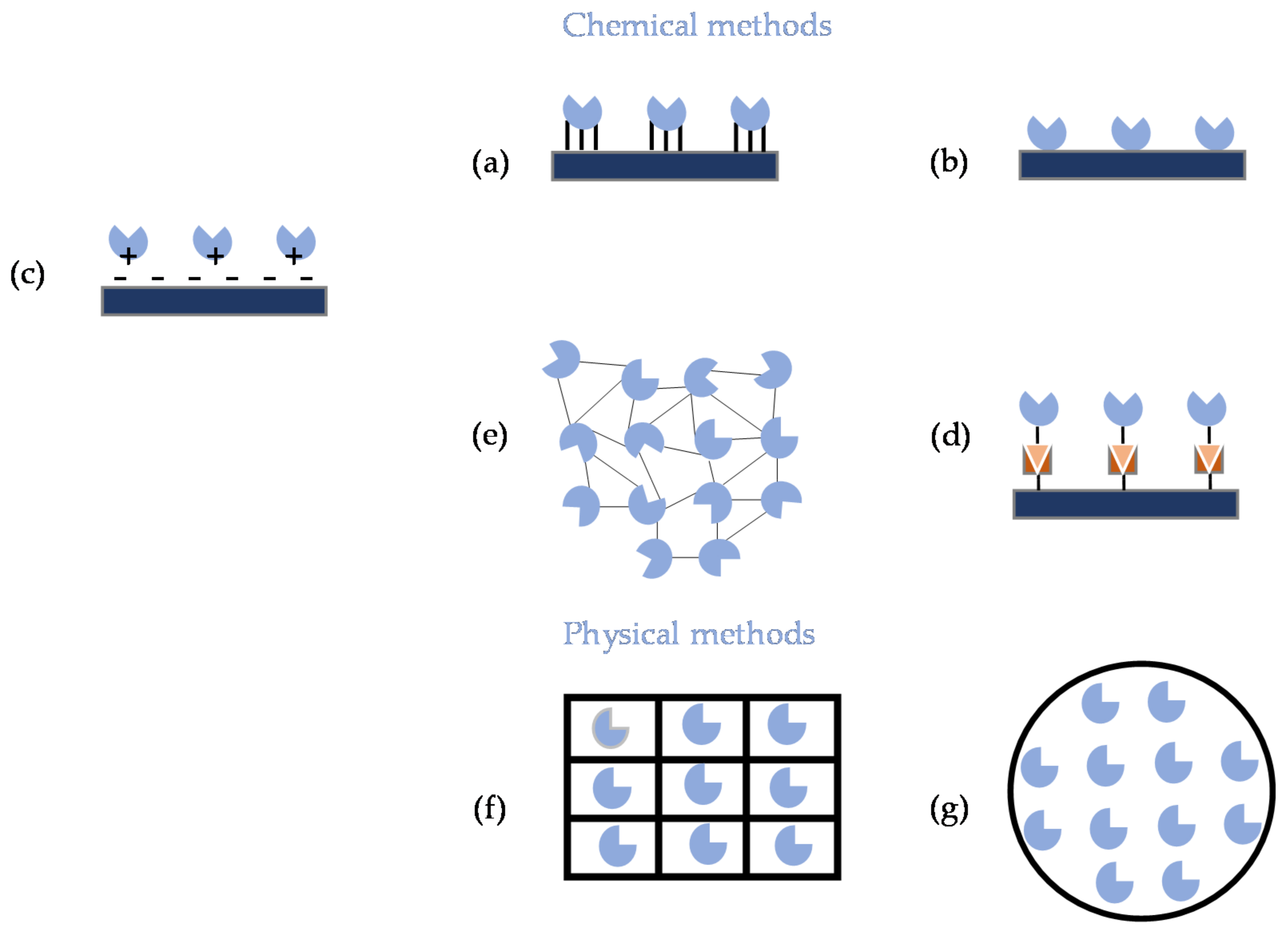 Processes 09 00225 g002