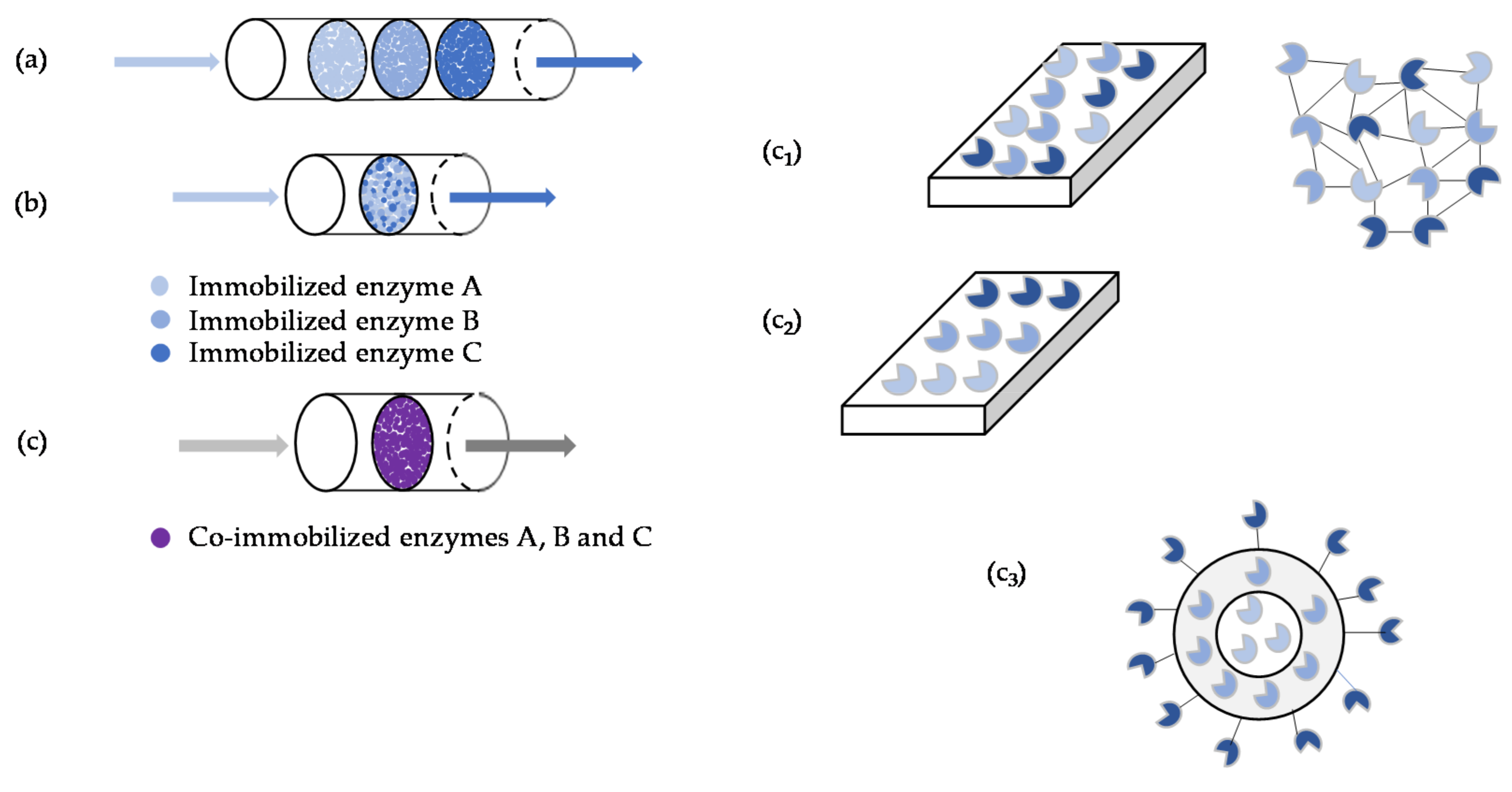 Processes Free FullText MultiEnzyme Systems in Flow Chemistry