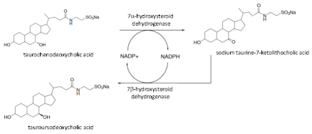 Processes 09 00225 i003