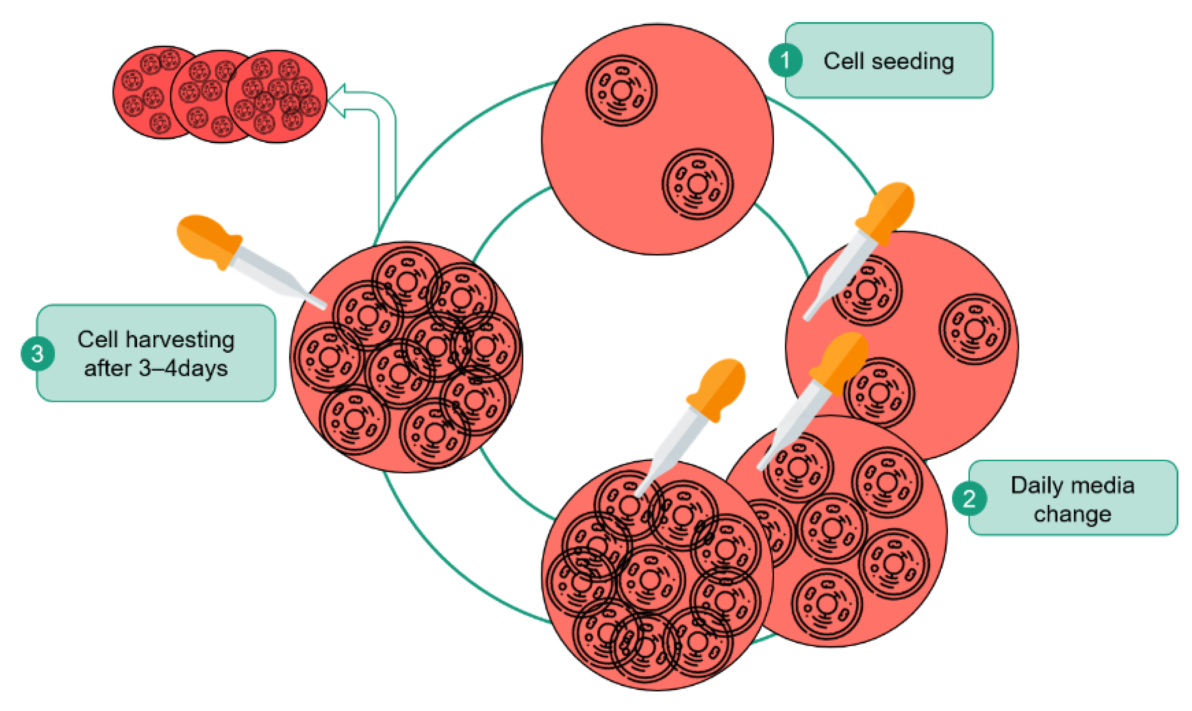 Processes 09 00240 g001 Processes 09 00240 g001