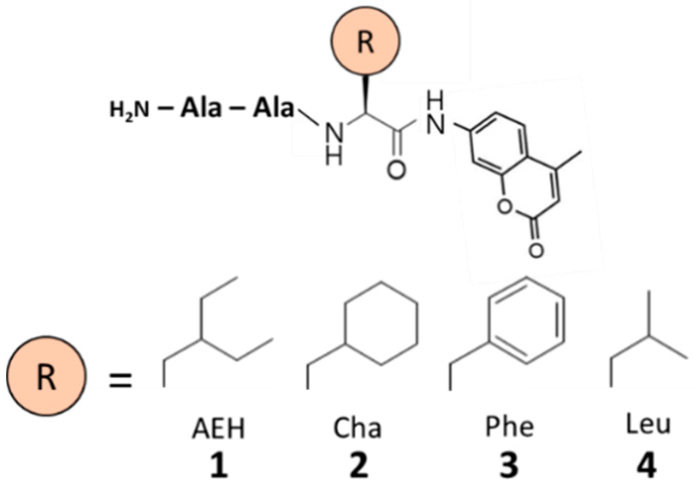 Processes 09 00242 g001 Processes 09 00242 g001