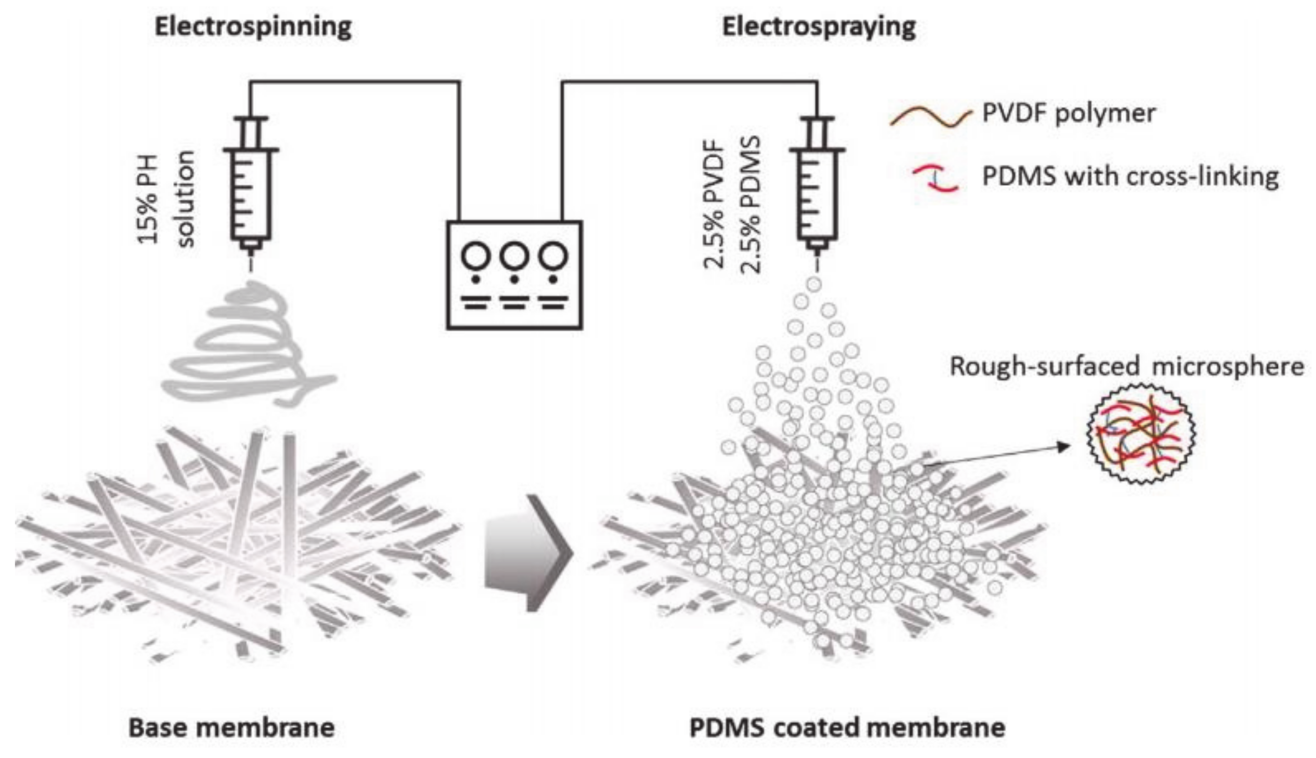 Processes 09 00243 g002