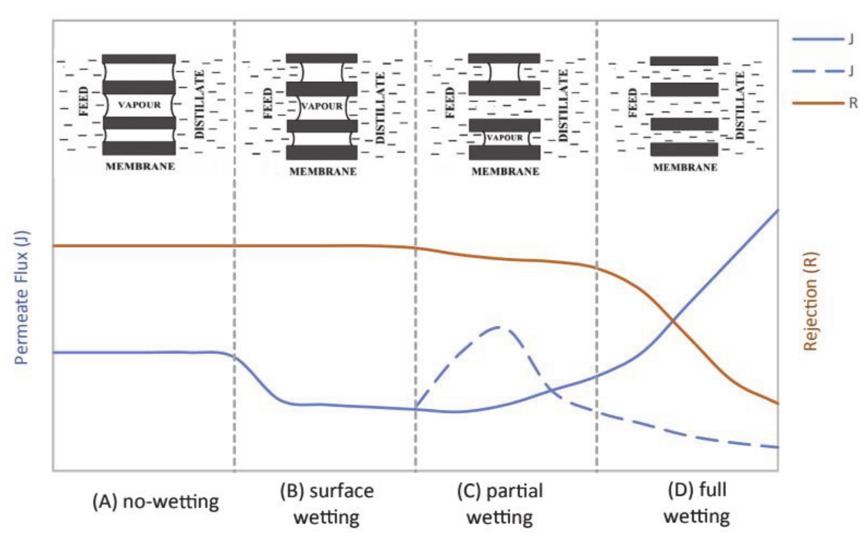 Processes 09 00243 g003