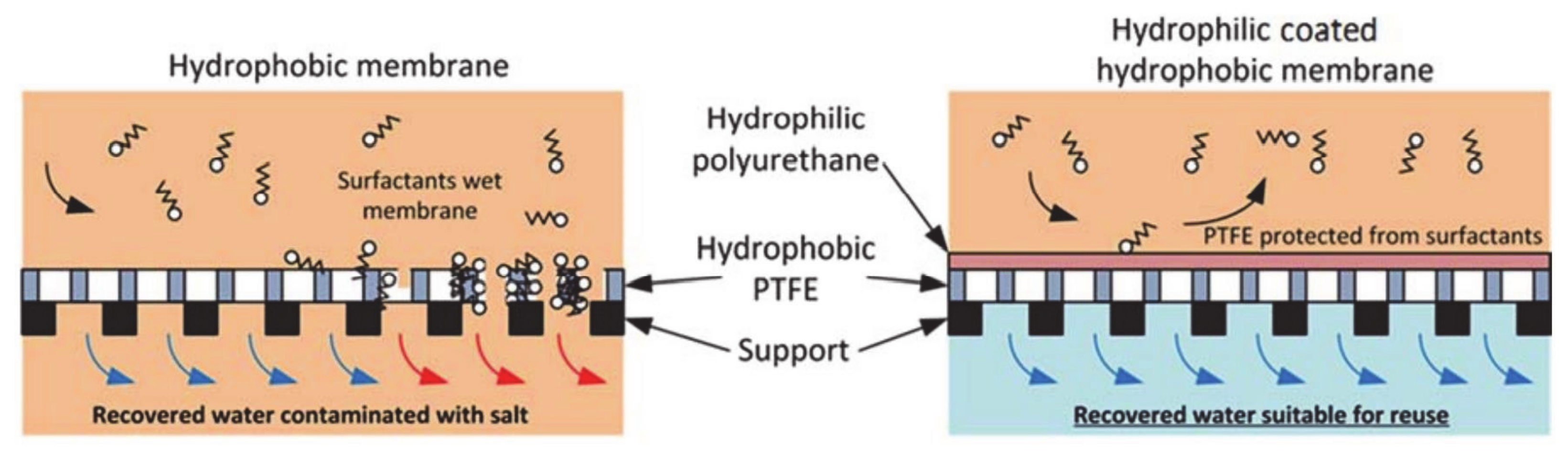 Processes 09 00243 g005