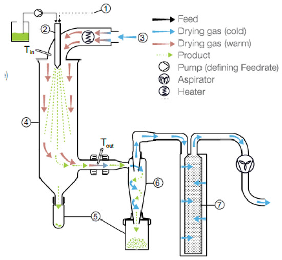 Processes Free FullText Spray Drying for Direct Compression of