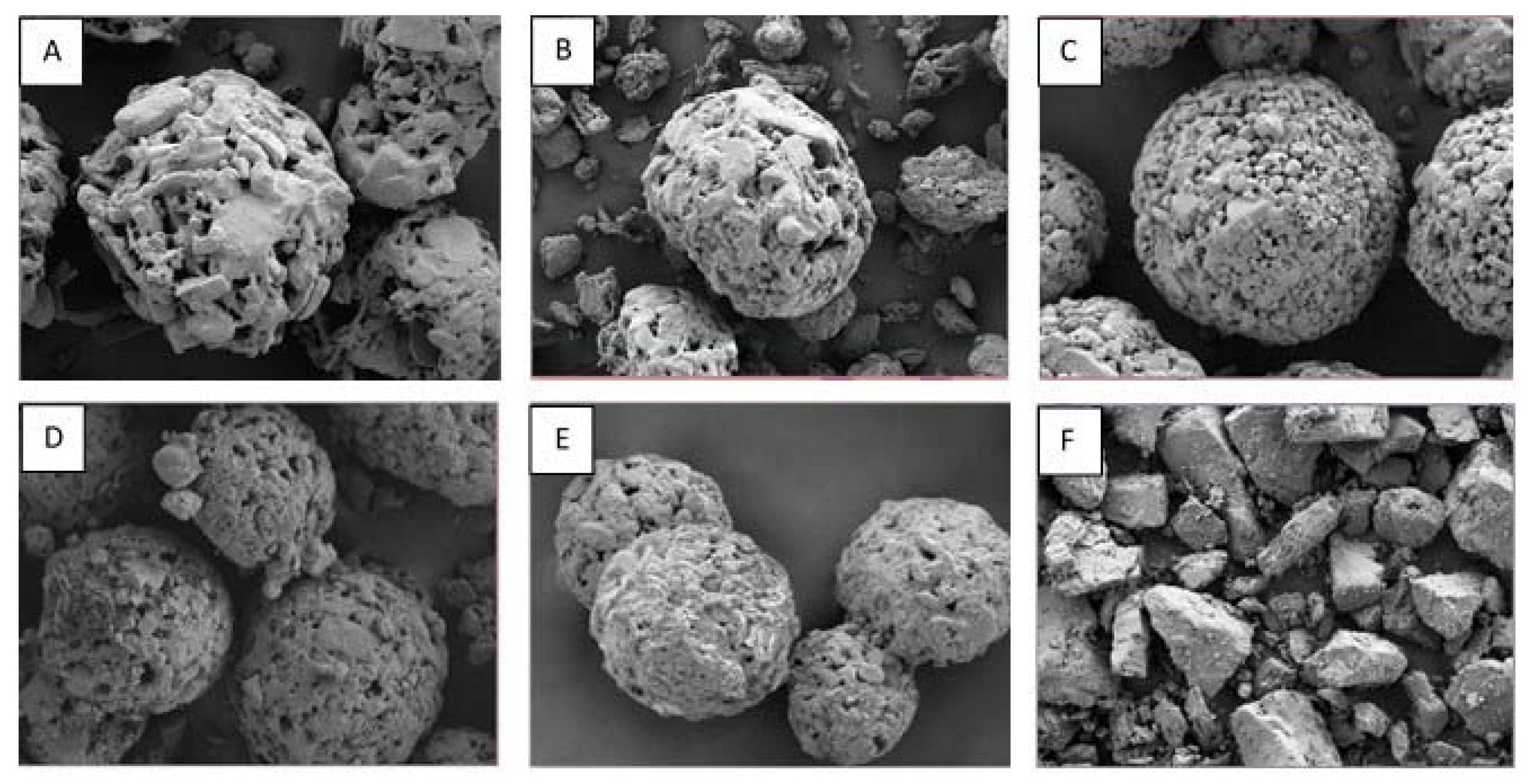 Processes 09 00267 g005