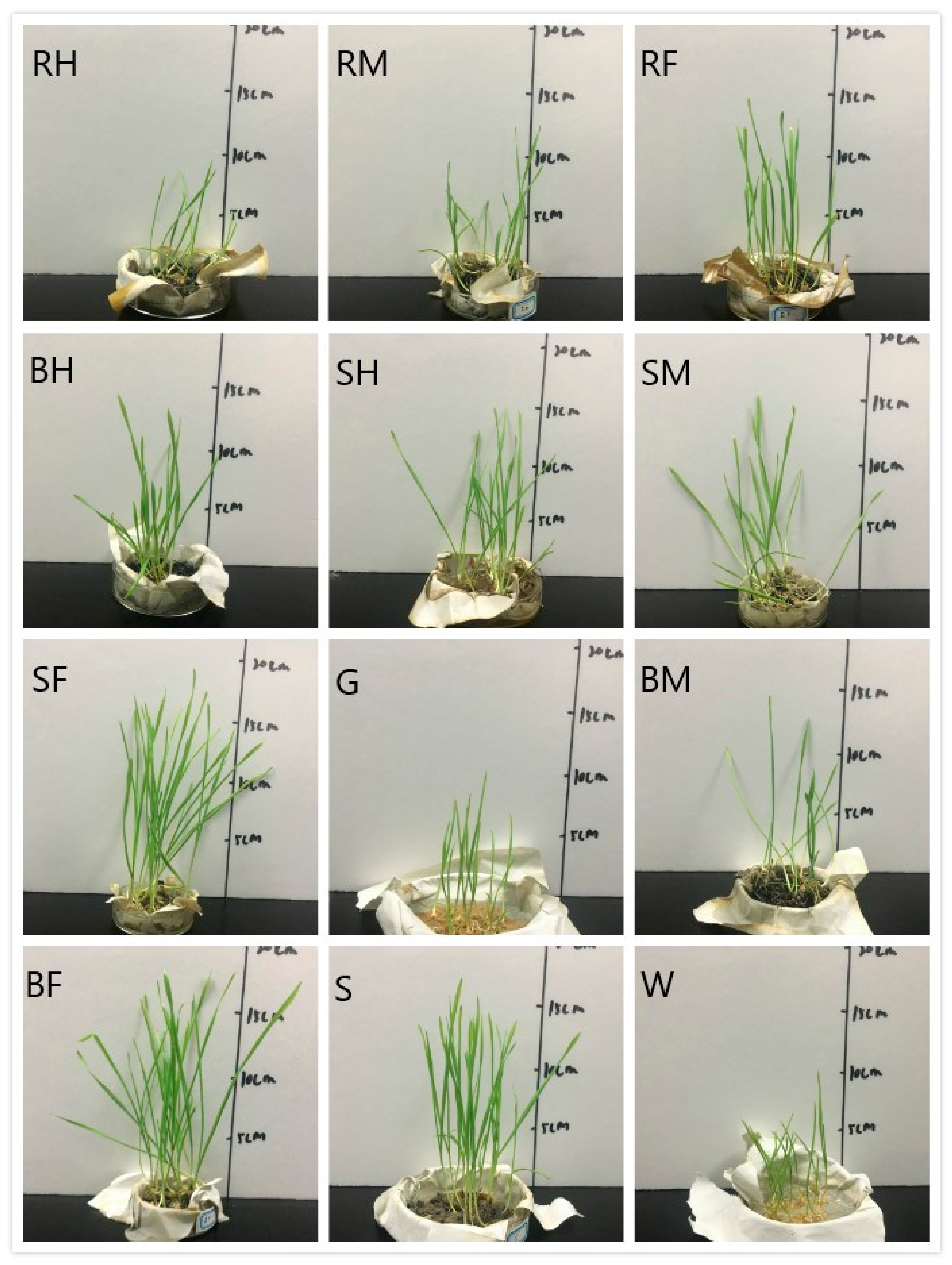 Processes 09 00276 g011