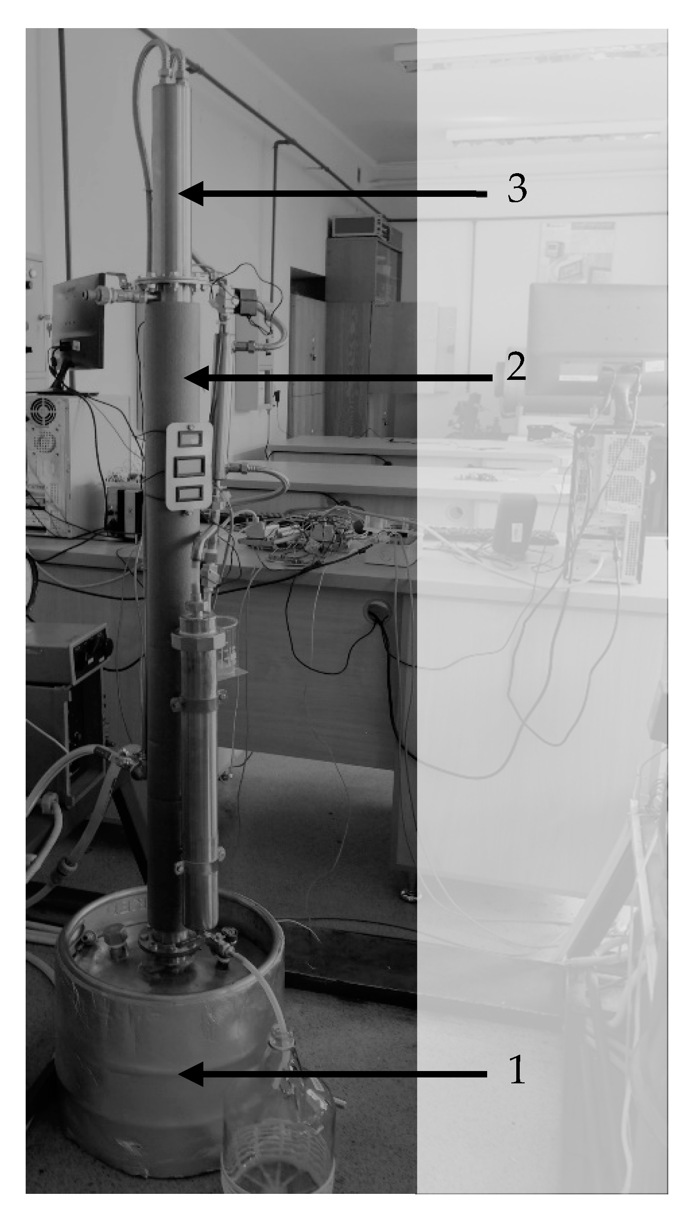 Processes 09 00282 g002