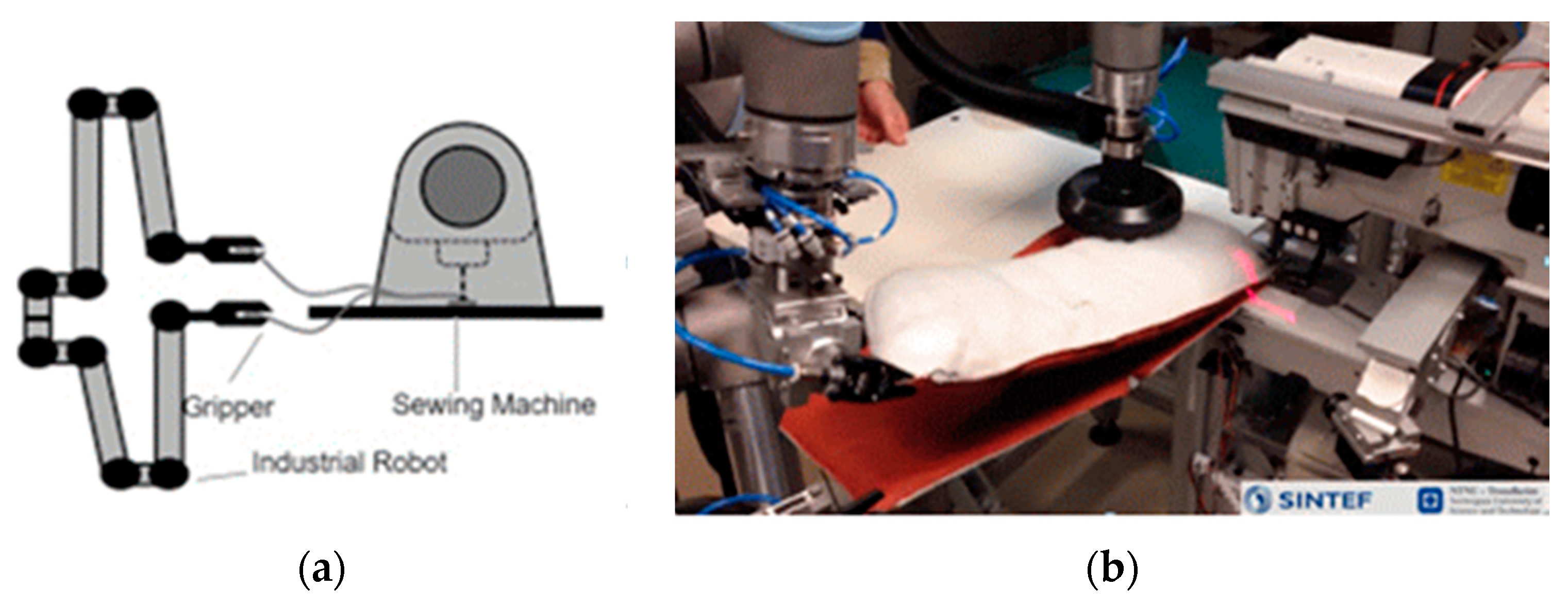 Processes 09 00289 g005