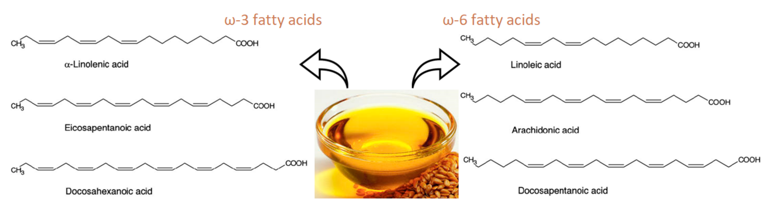 Processes 09 00295 g001