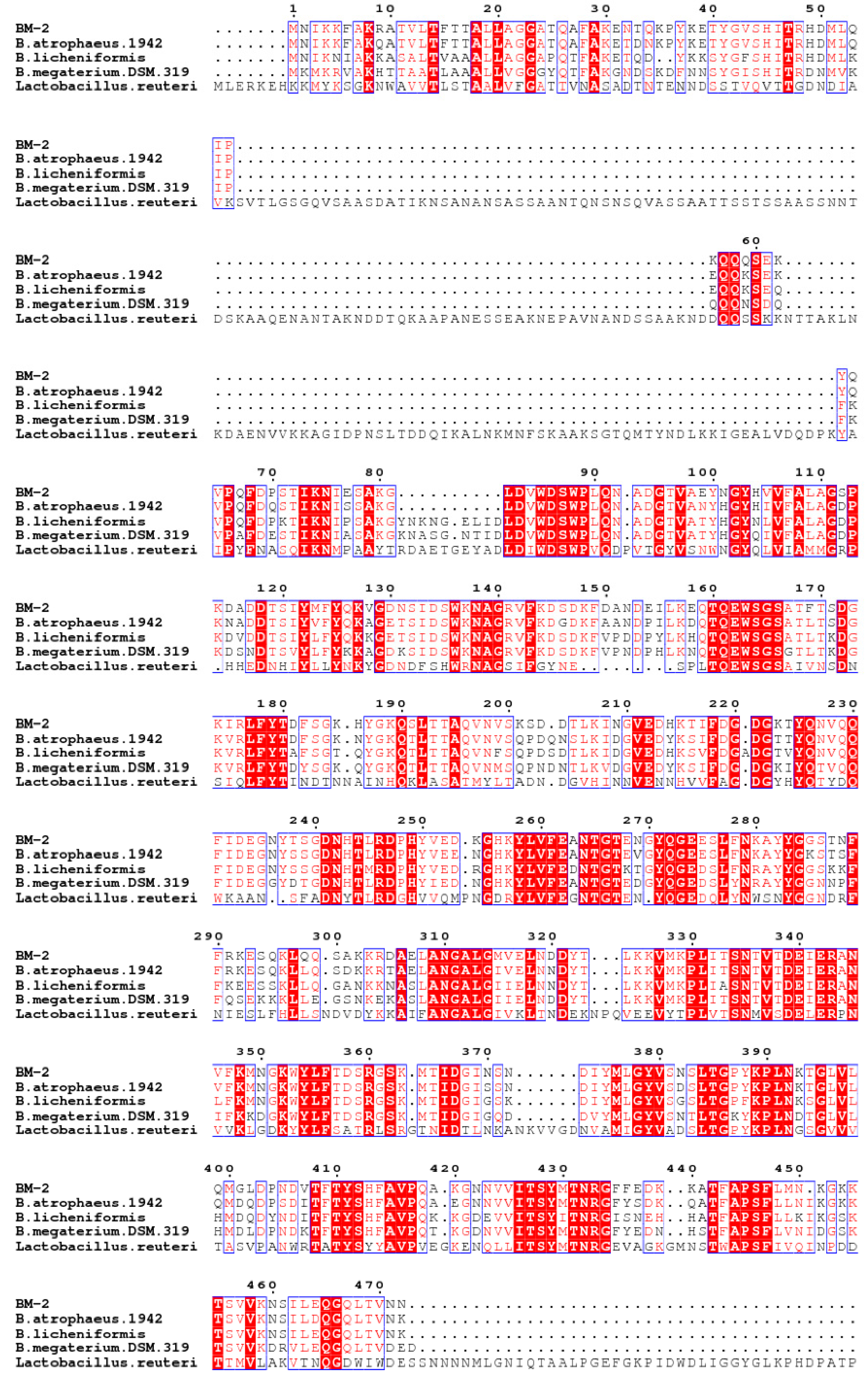 Processes 09 00317 g001 Processes 09 00317 g001