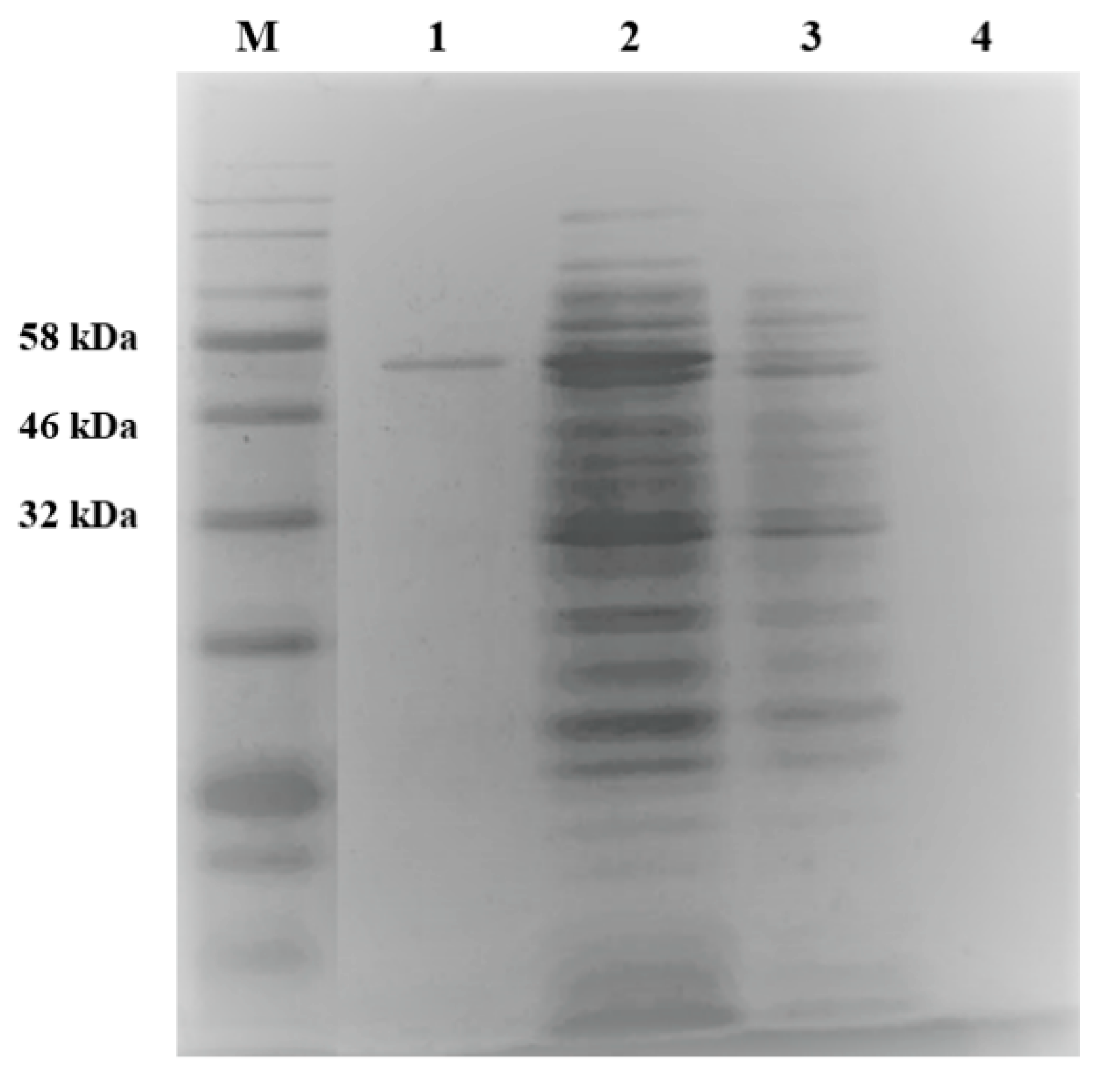 Processes 09 00317 g002 Processes 09 00317 g002
