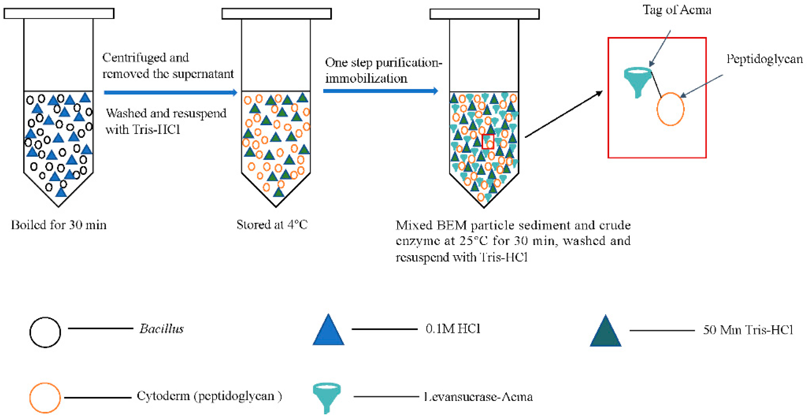 Processes 09 00317 g003 Processes 09 00317 g003