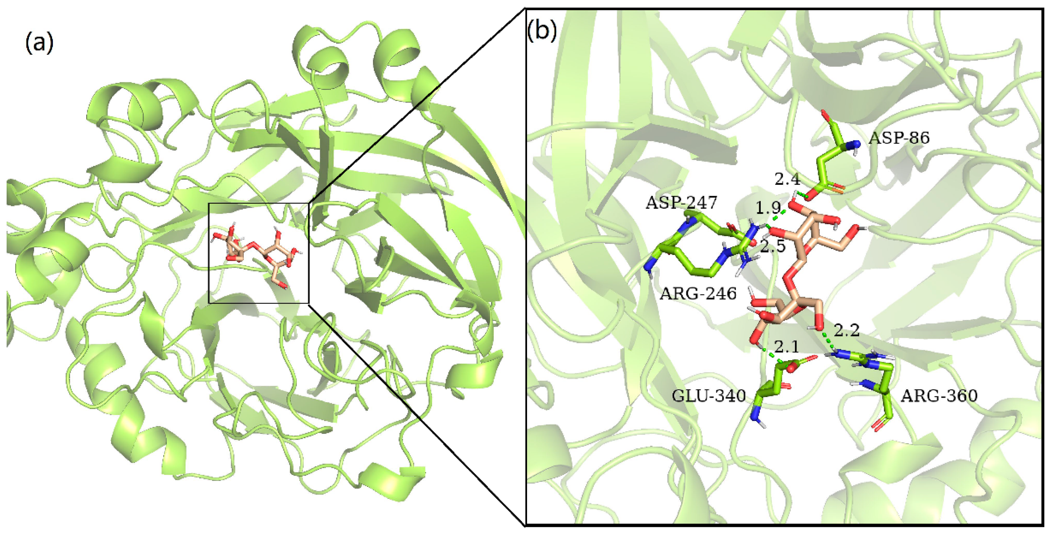 Processes 09 00317 g006 Processes 09 00317 g006