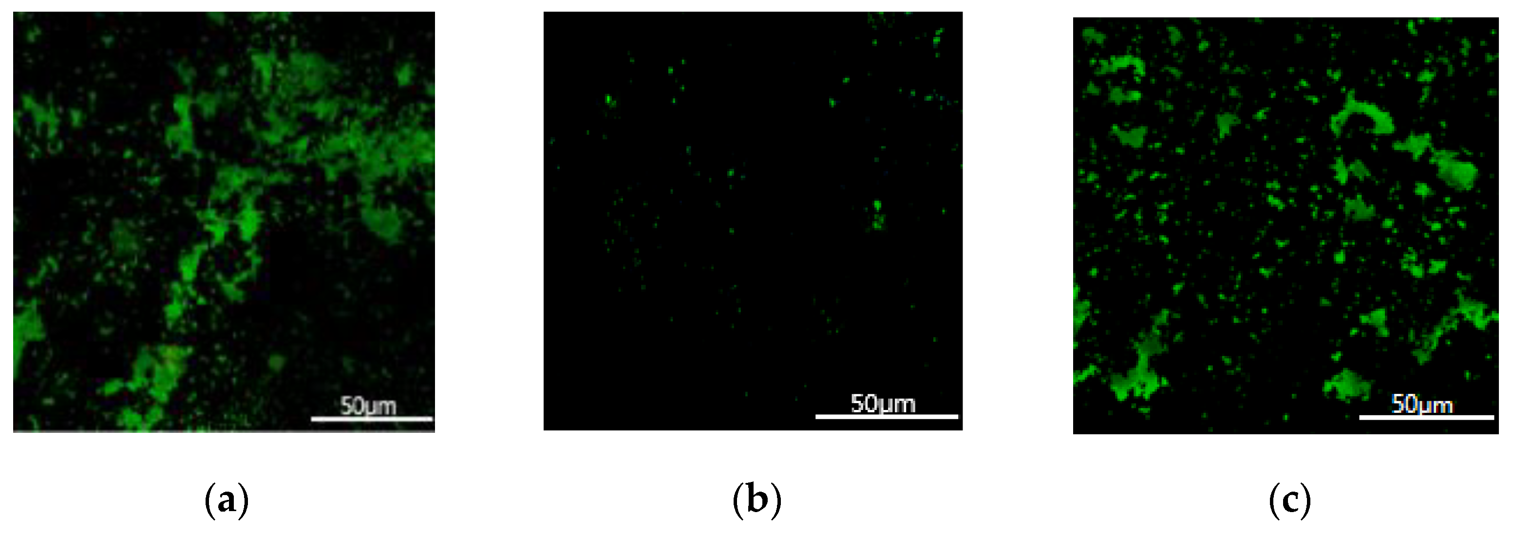 Processes 09 00319 g004