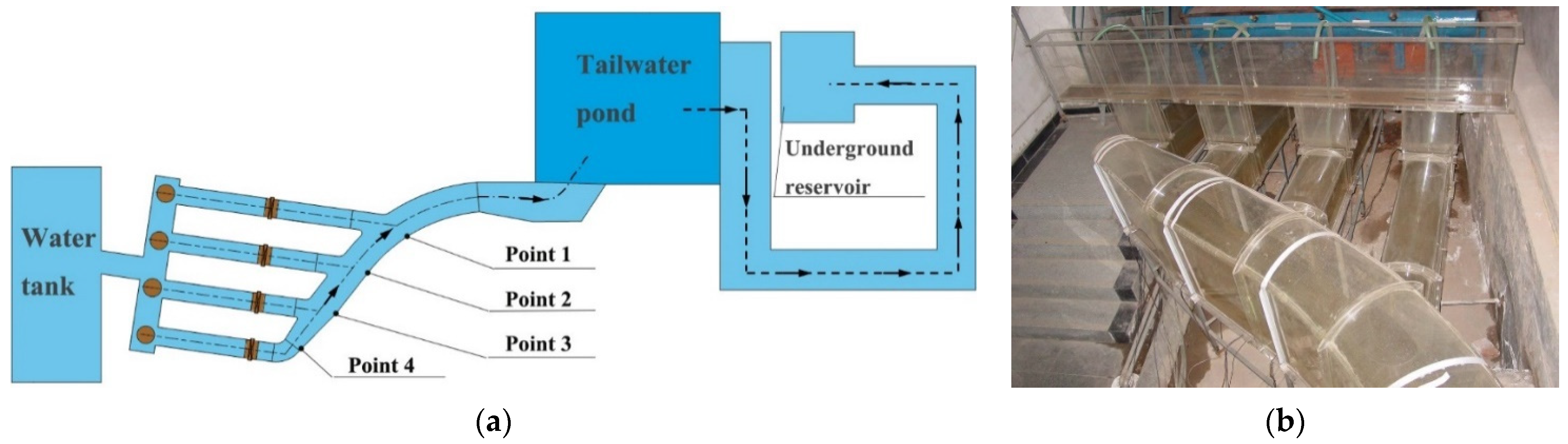 Processes 09 00320 g002