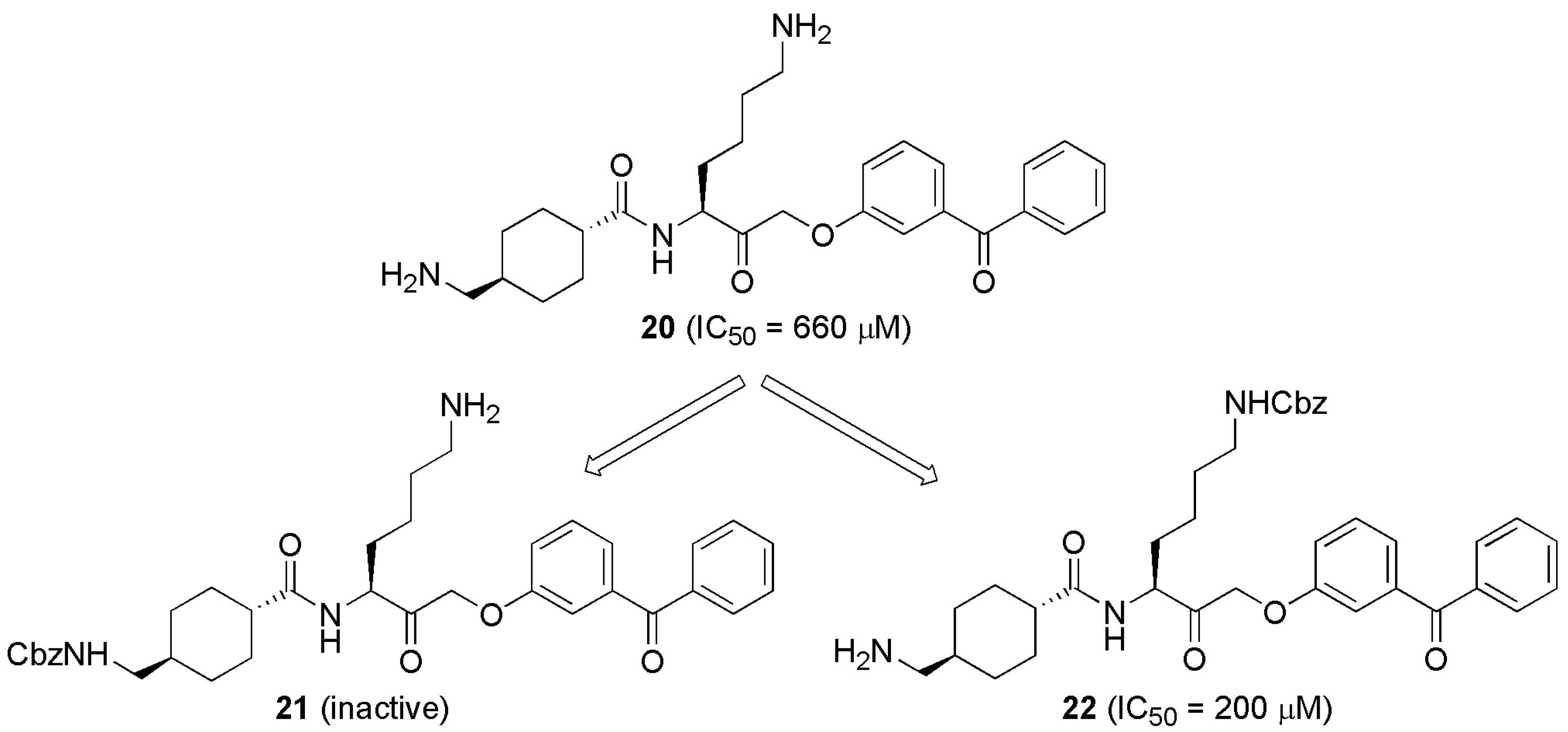 Processes 09 00329 g001 Processes 09 00329 g001
