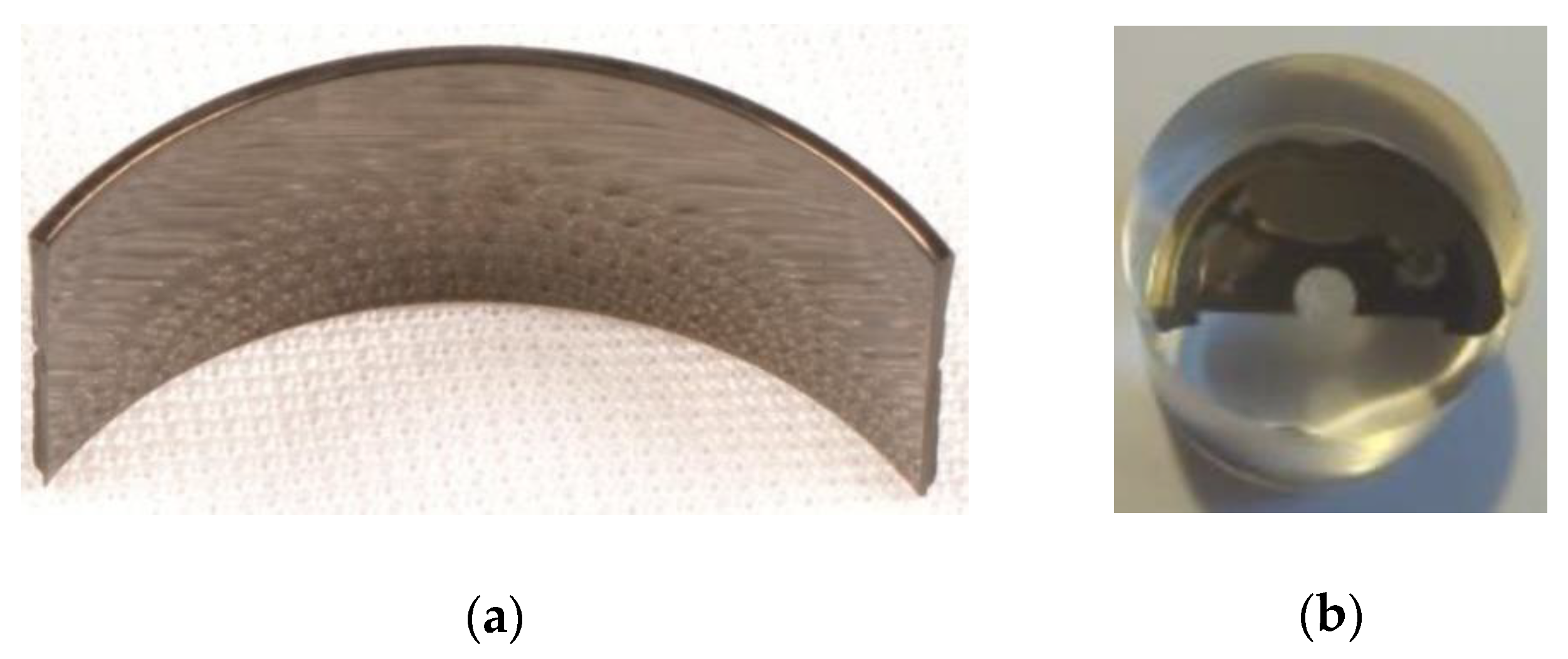 Processes 09 00338 g001 Processes 09 00338 g001