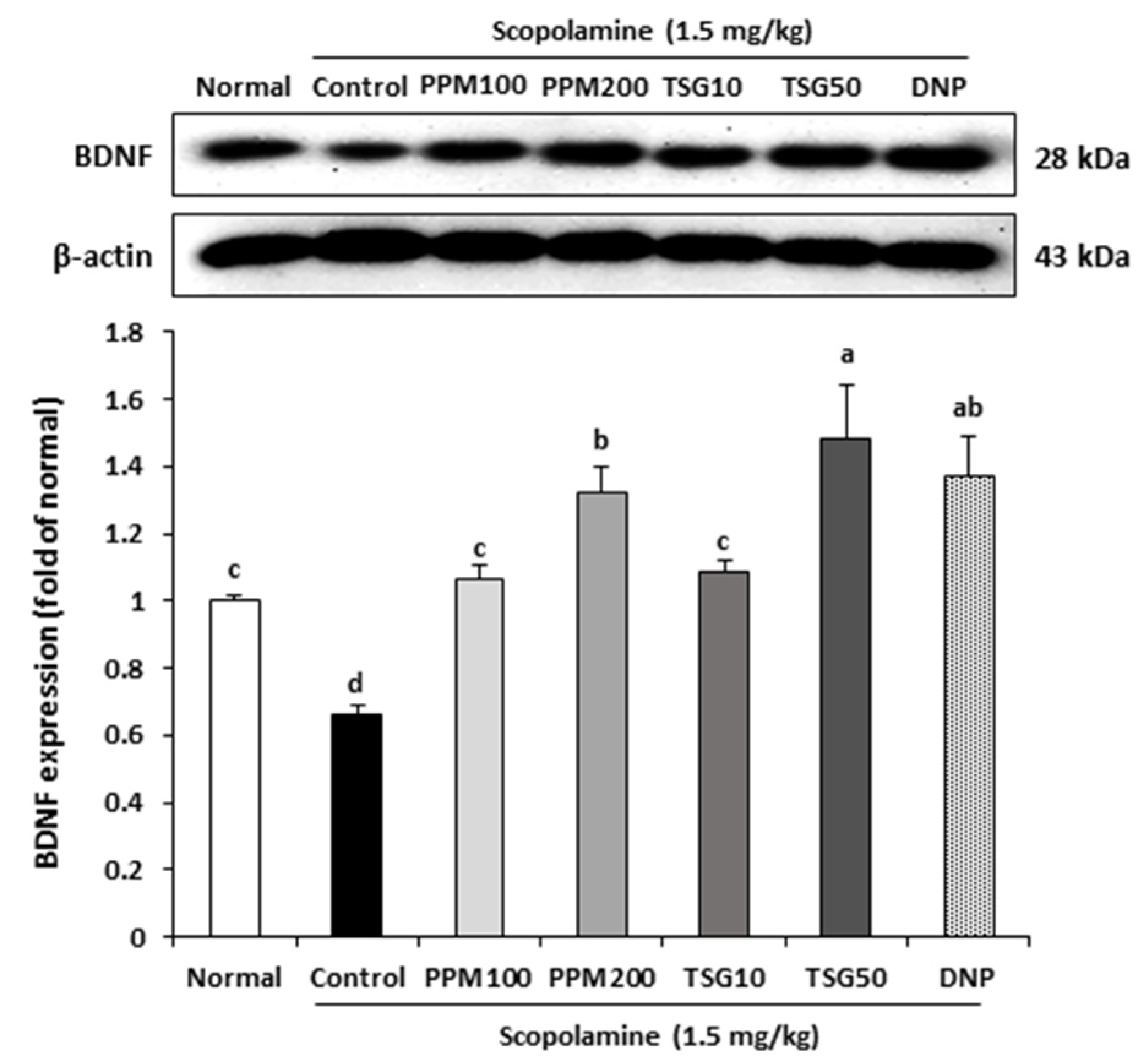 Processes 09 00342 g007