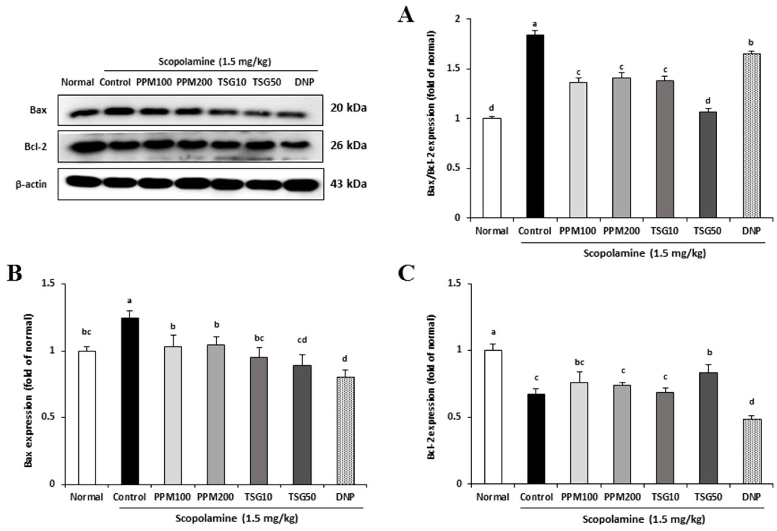 Processes 09 00342 g008