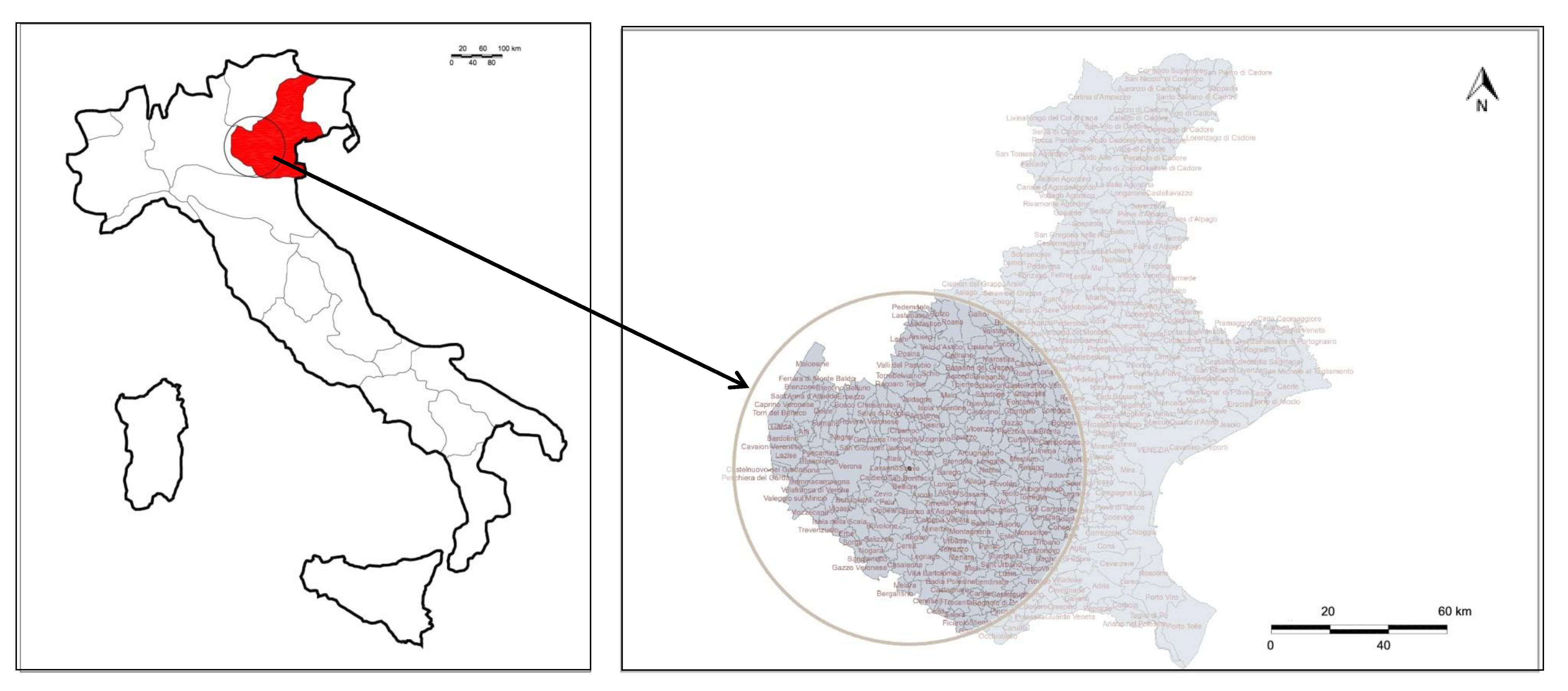 Processes 09 00344 g001