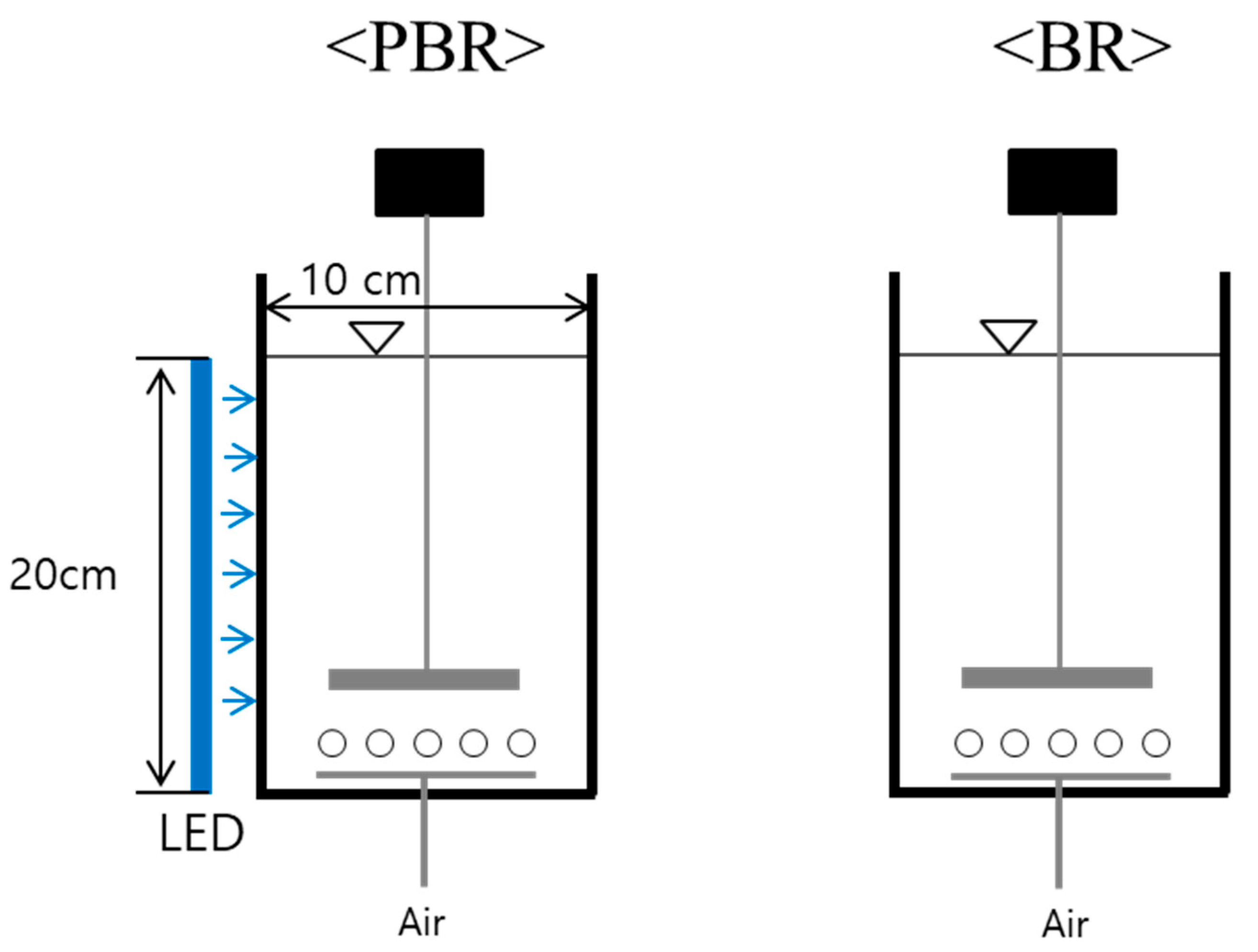 Processes 09 00346 g001