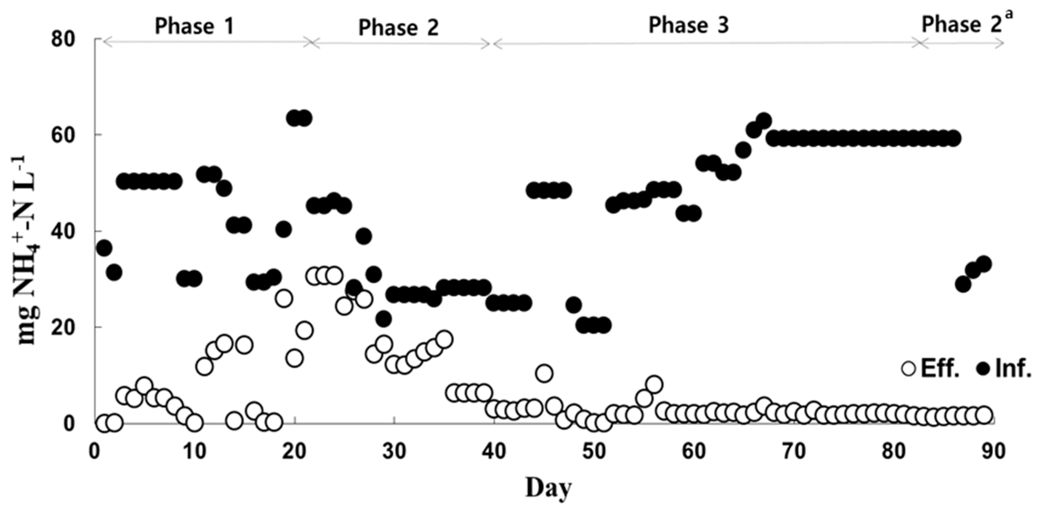 Processes 09 00346 g005