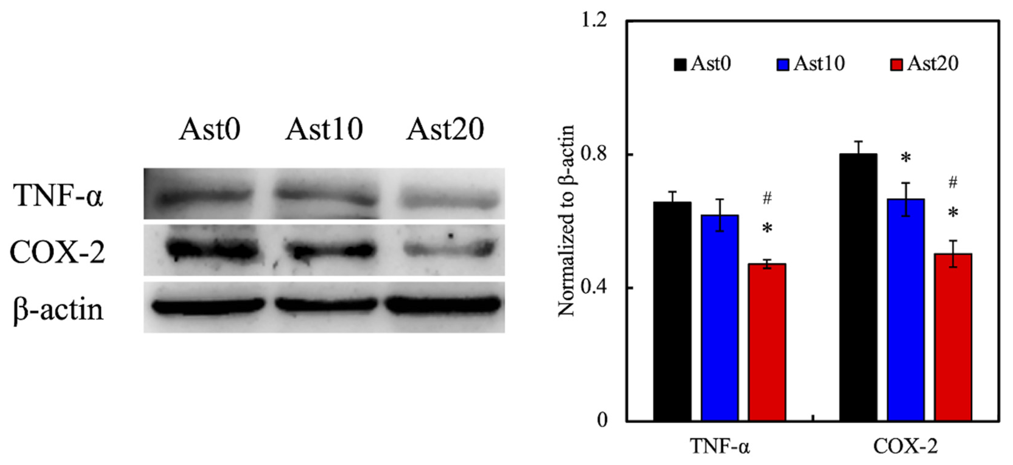 Processes 09 00353 g007 Processes 09 00353 g007