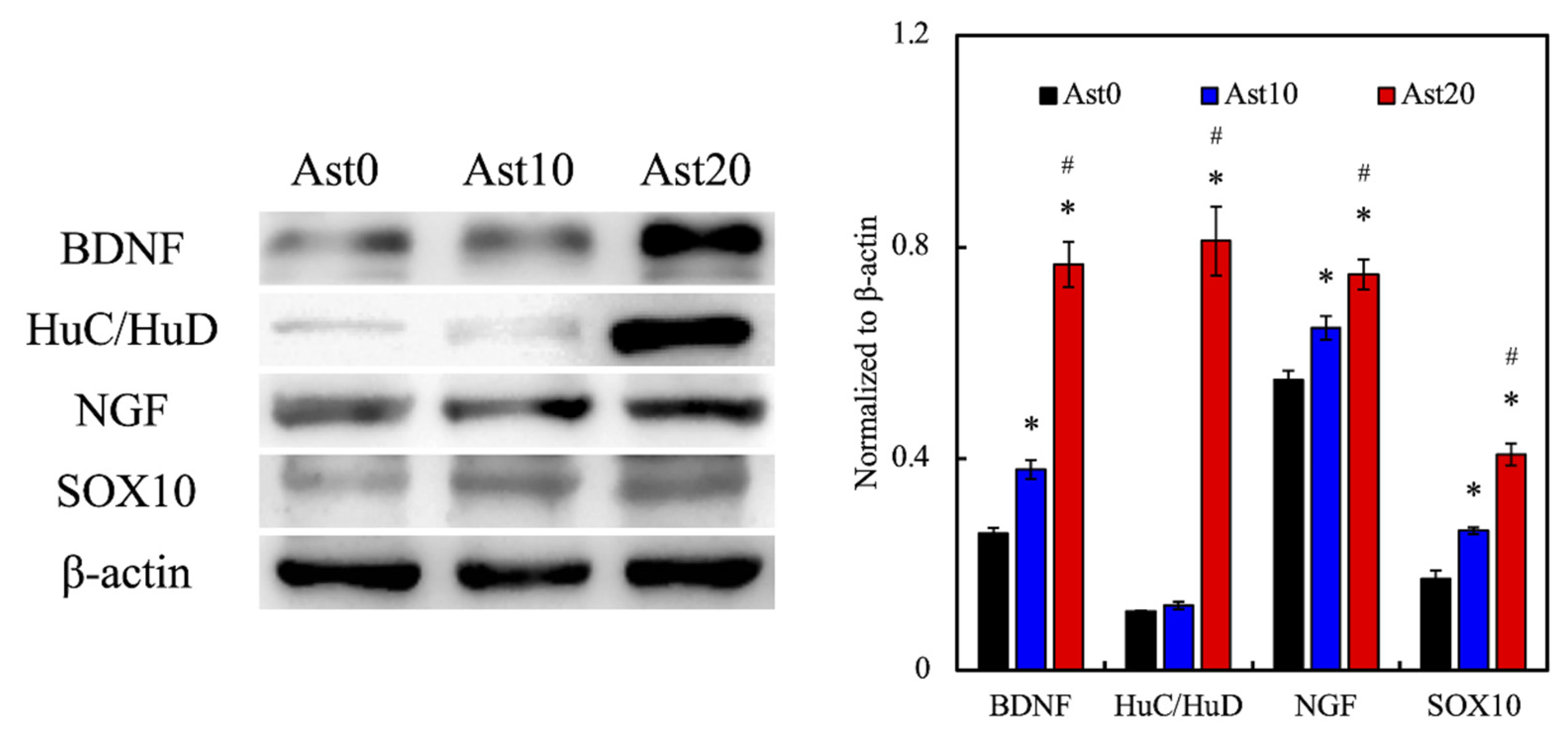 Processes 09 00353 g008 Processes 09 00353 g008