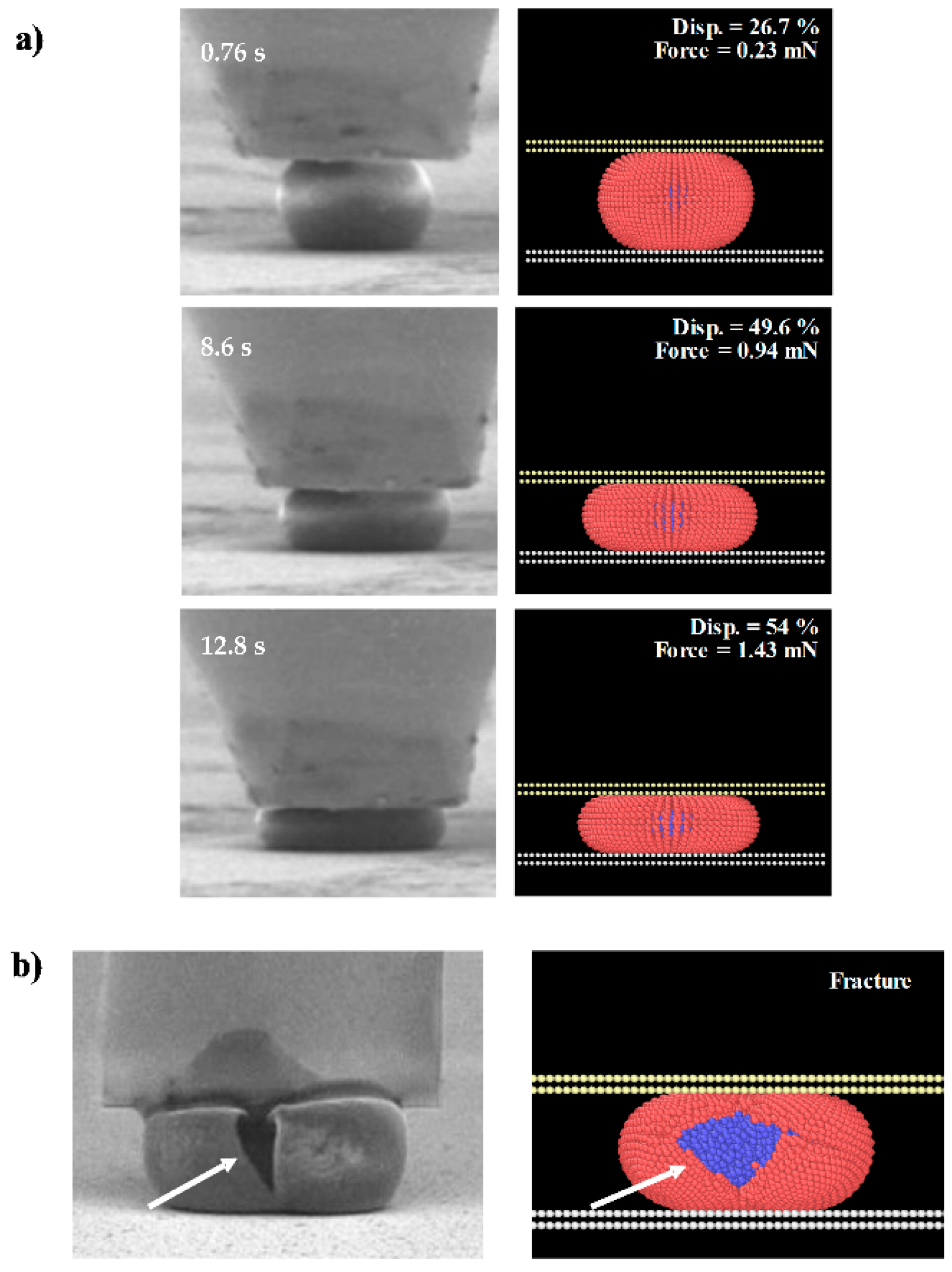 Processes 09 00354 g005 Processes 09 00354 g005