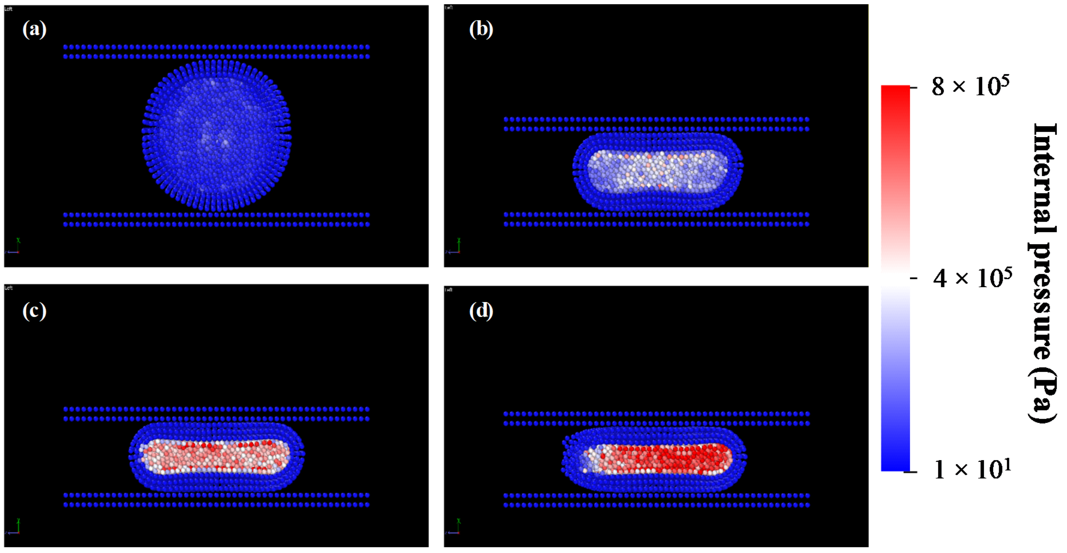 Processes 09 00354 g006 Processes 09 00354 g006