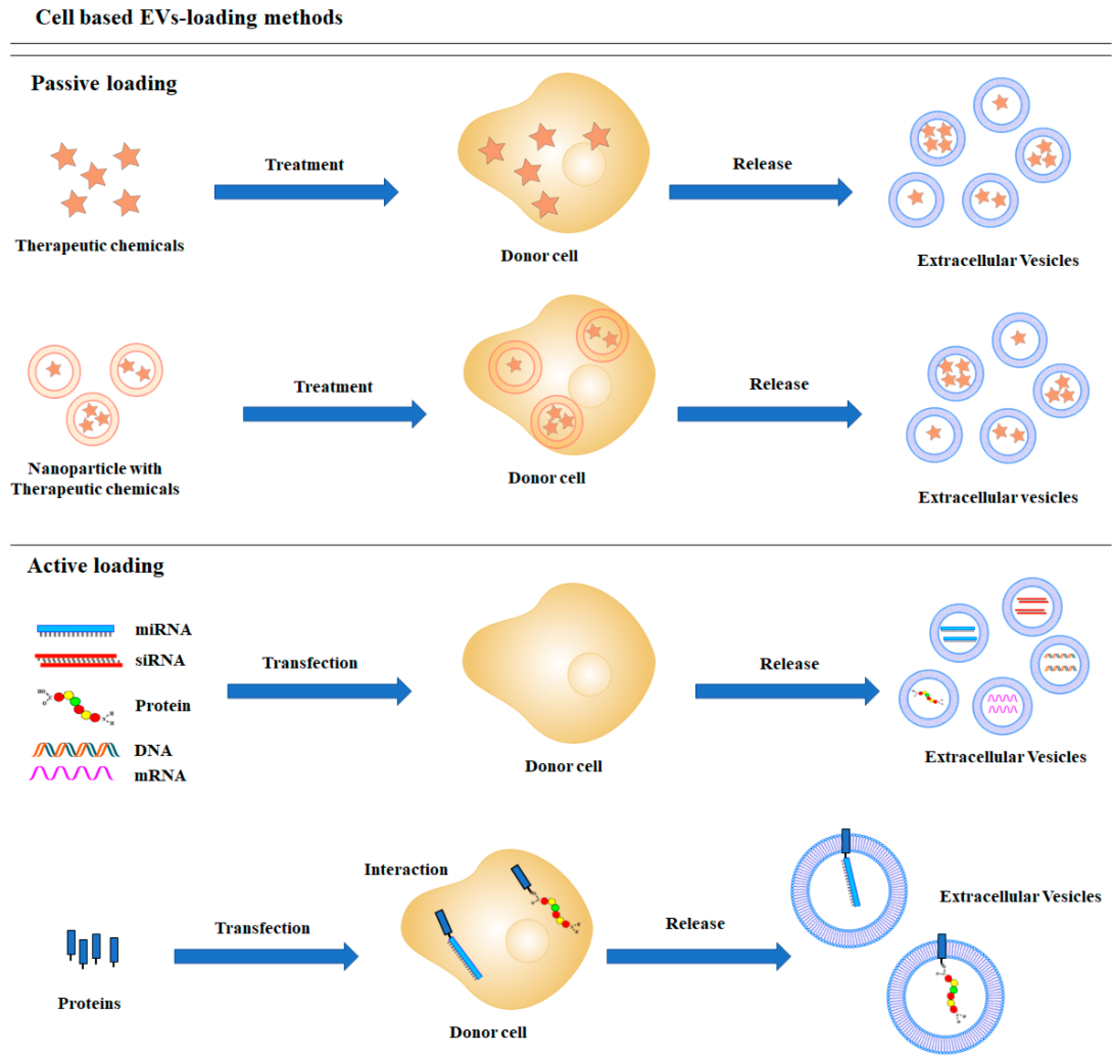 Load method. Cell Base form.