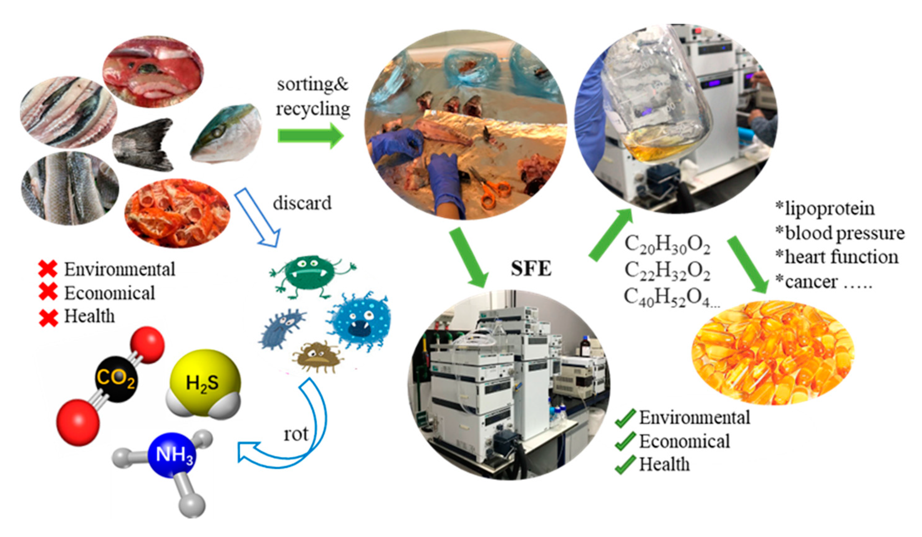 Processes 09 00357 g003